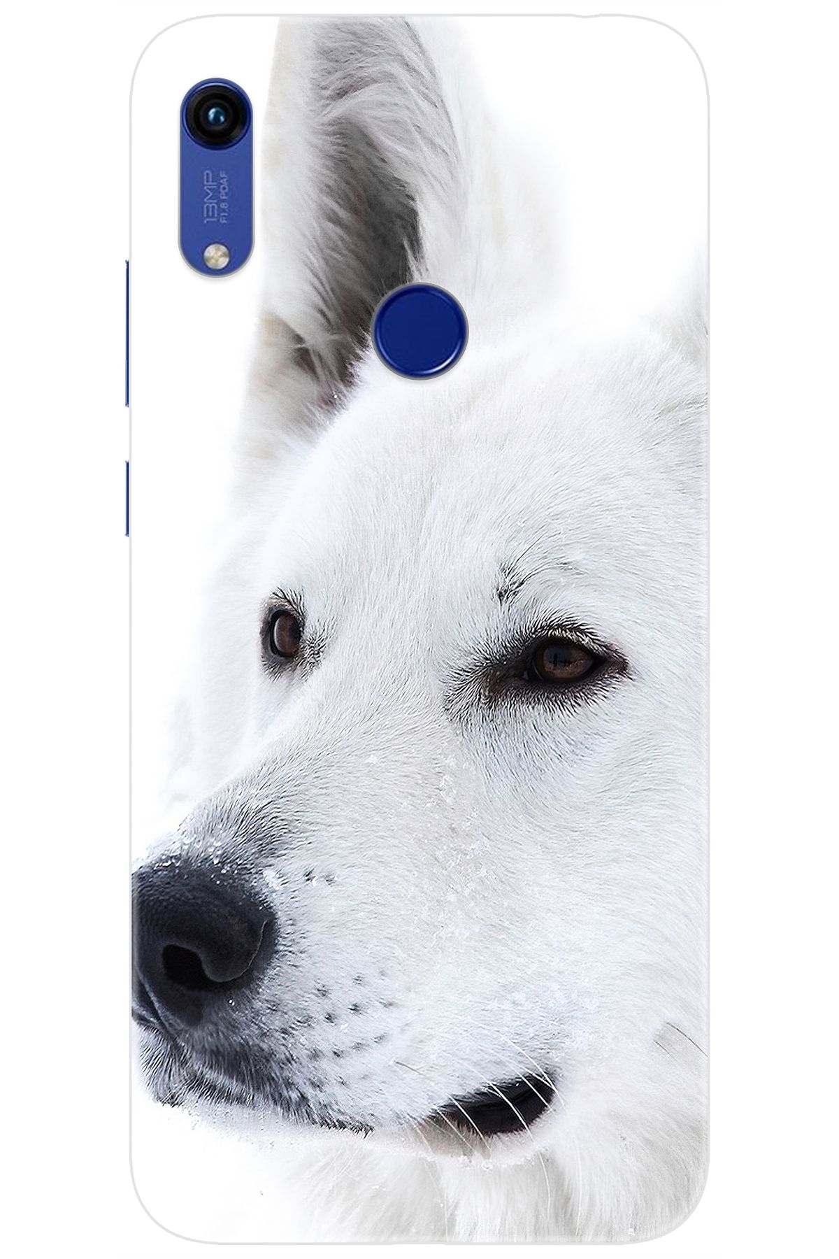 Ceppare Huawei Y6S 2019 (JAT-L41) Uyumlu Kılıf Desen Baskılı Silikon Beyaz Kurt STK:169 CP-BHfhBOZ