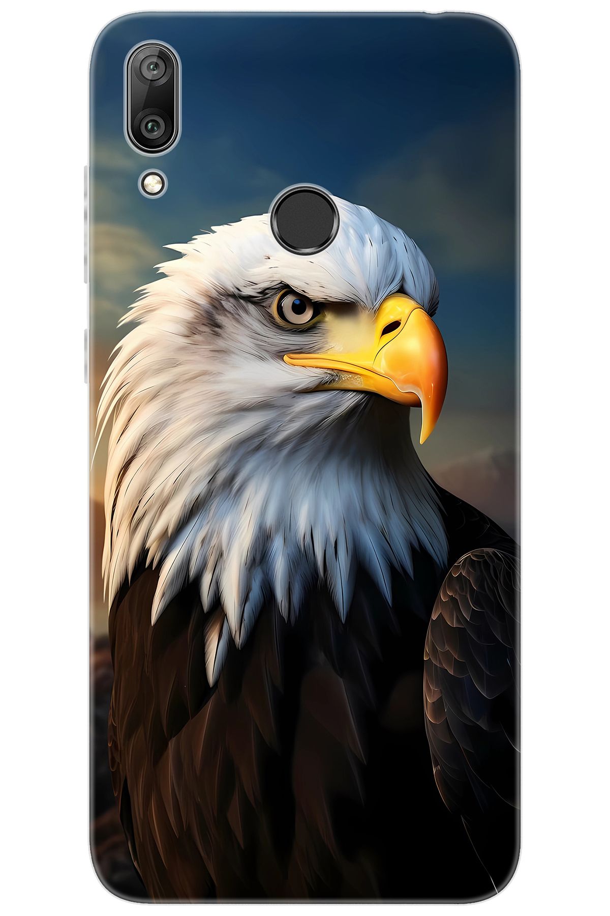 Ceppare Huawei Y7 2019 (DUB-LX1) Uyumlu Kılıf Desen Baskılı Silikon Kartal STK:687 CP-oqyMRGi