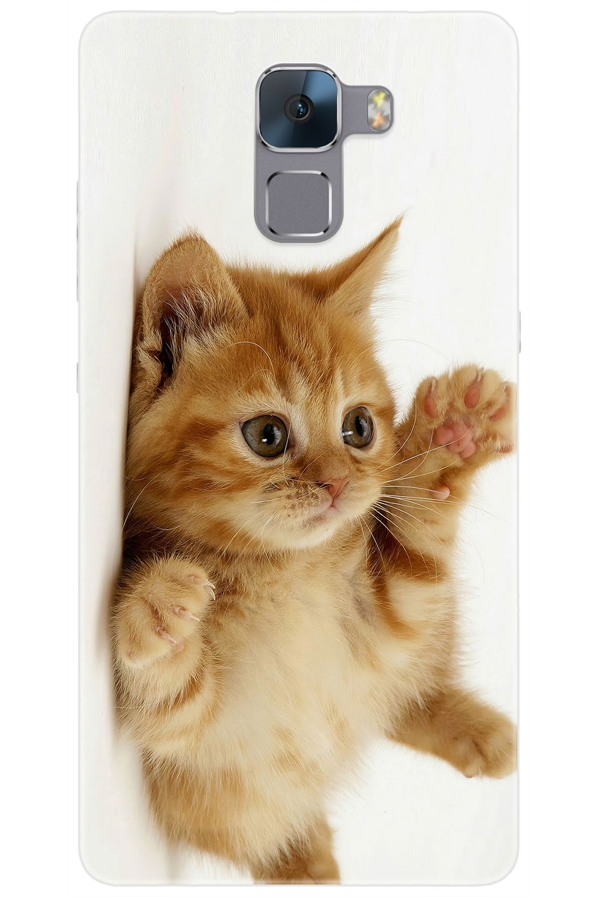 Ceppare Huawei Honor 7 (PLK-L01) Uyumlu Kılıf Desen Baskılı Silikon Sevimli Kedi STK:205 CP-KL1hpsB