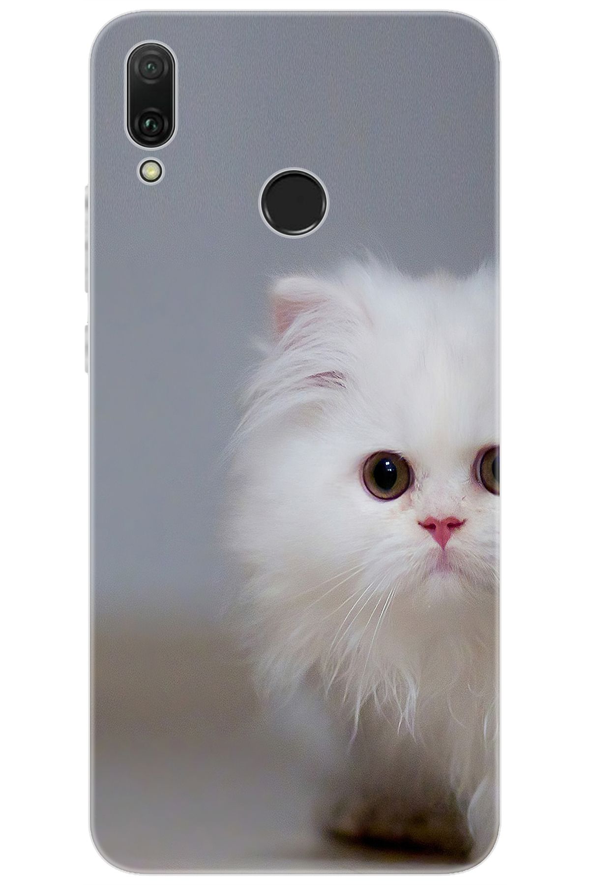 Ceppare Huawei Y9 2019 (JKM-LX1/LX2) Uyumlu Kılıf Desen Baskılı Silikon Beyaz Kedi STK:139 CP-YJjpafh