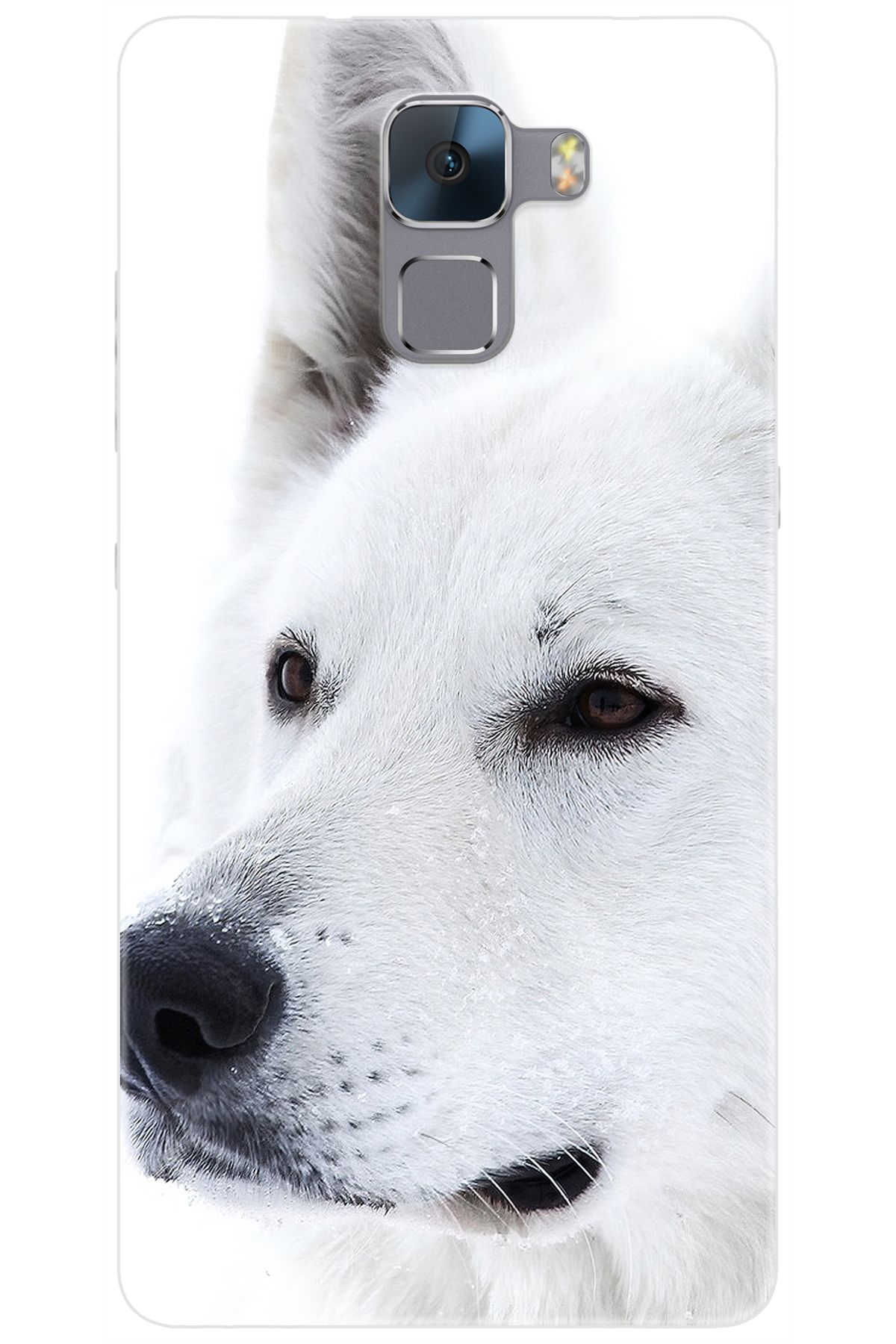 Ceppare Huawei Honor 7 (PLK-L01) Uyumlu Kılıf Desen Baskılı Silikon Beyaz Kurt STK:169 CP-hLPooOS