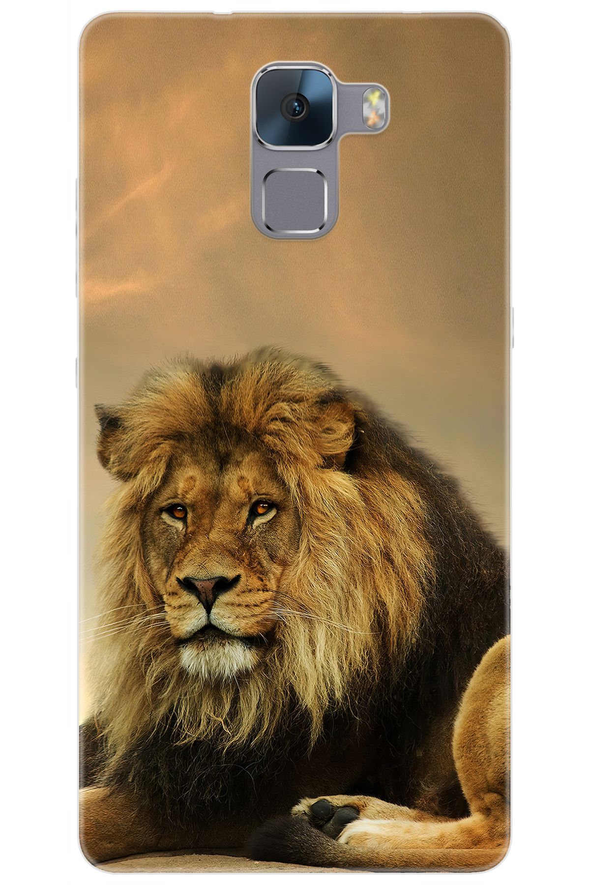 Ceppare Huawei Honor 7 (PLK-L01) Uyumlu Kılıf Desen Baskılı Silikon Kral Aslan STK:207 CP-Lk52Sis