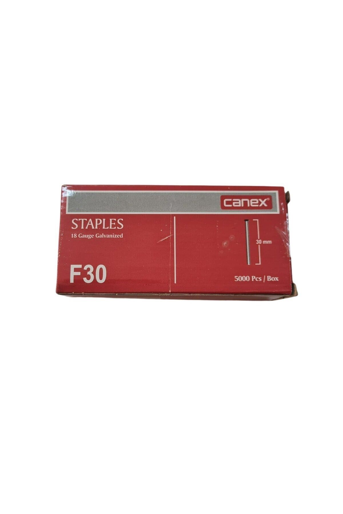 CANEX F30 Tabanca Çivisi | 30mm Uzunluk | Dayanıklı ve Uzun Ömürlü
