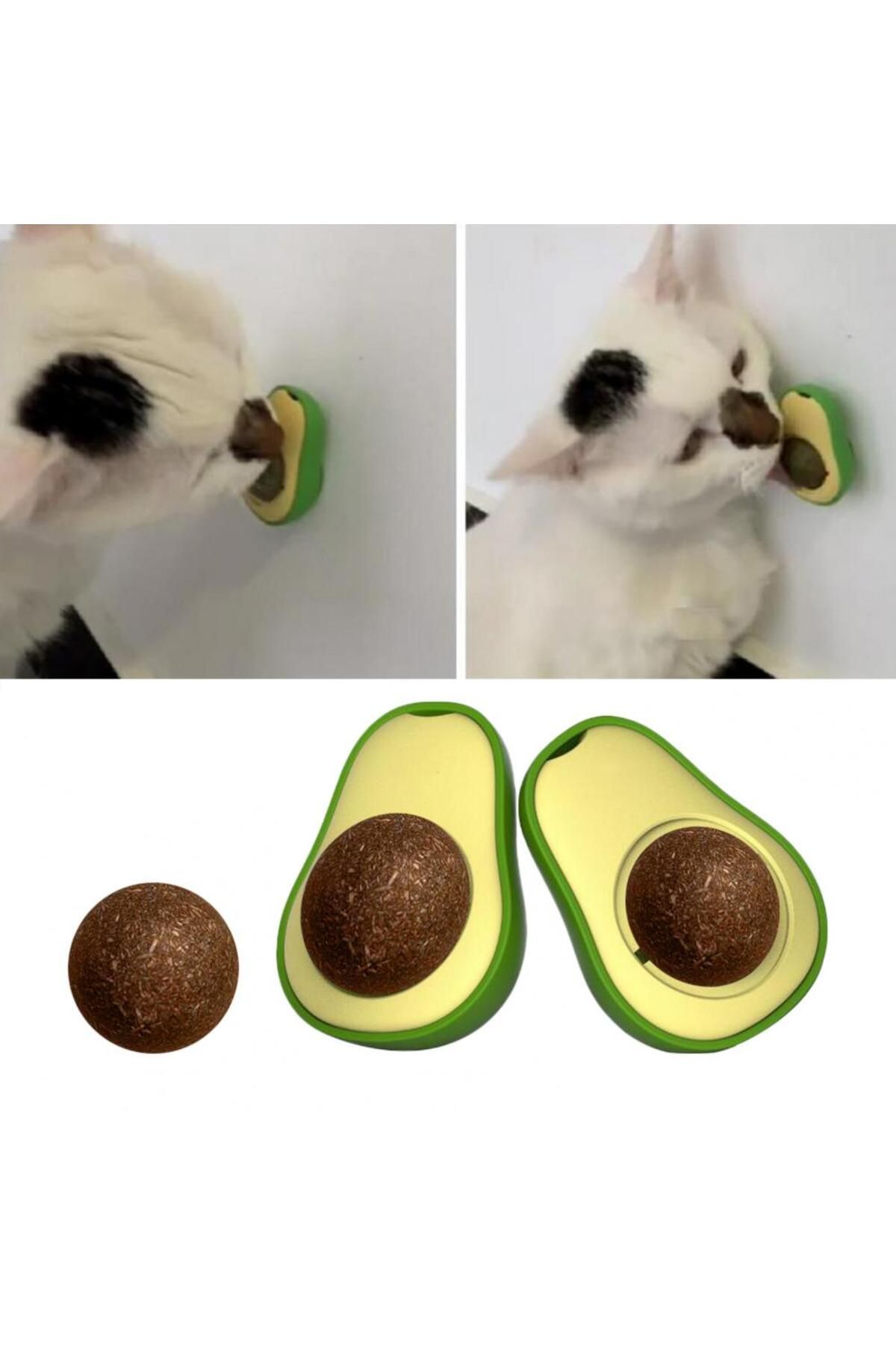 OEM Avokado Dönen Kedi Nanesi Cat Oyun Topu Doğal Kedi Oyuncağı
