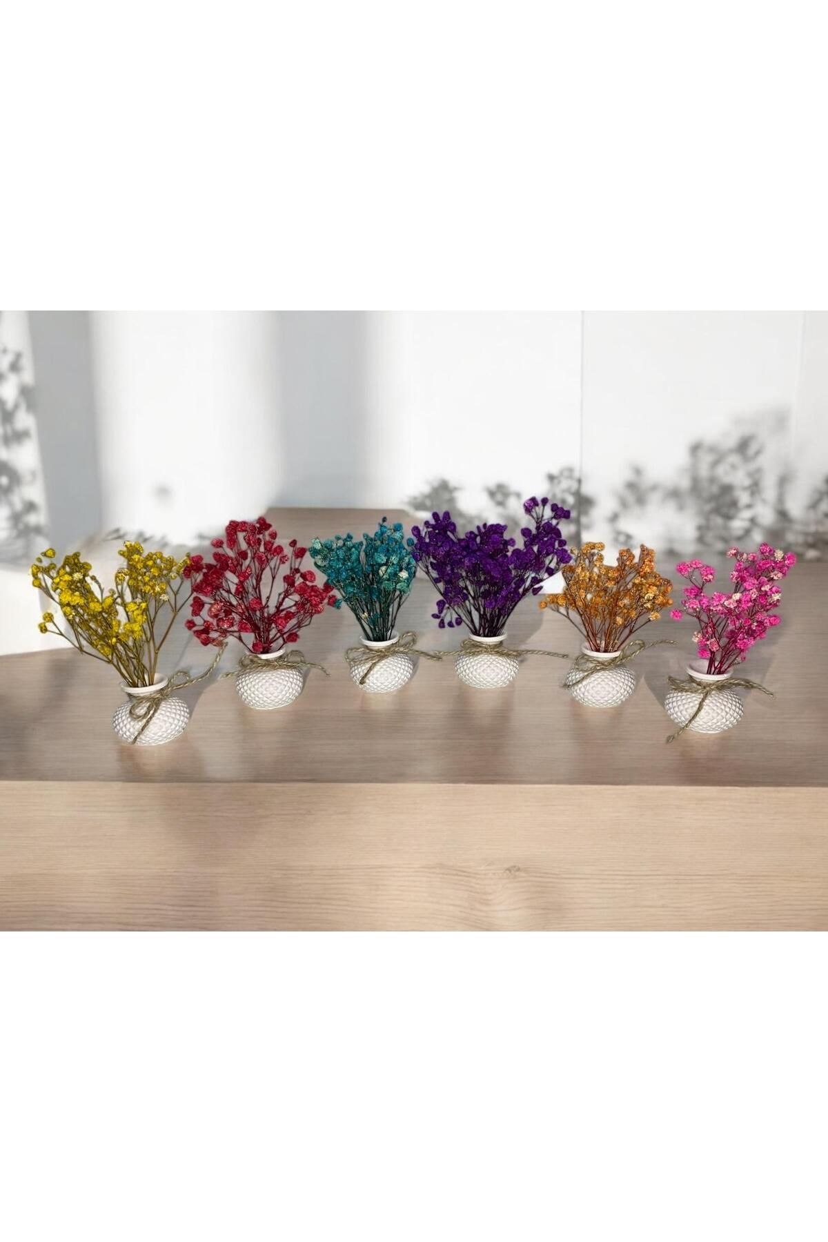 MelDef Altılı Dekoratif Mini Set Çiçekli