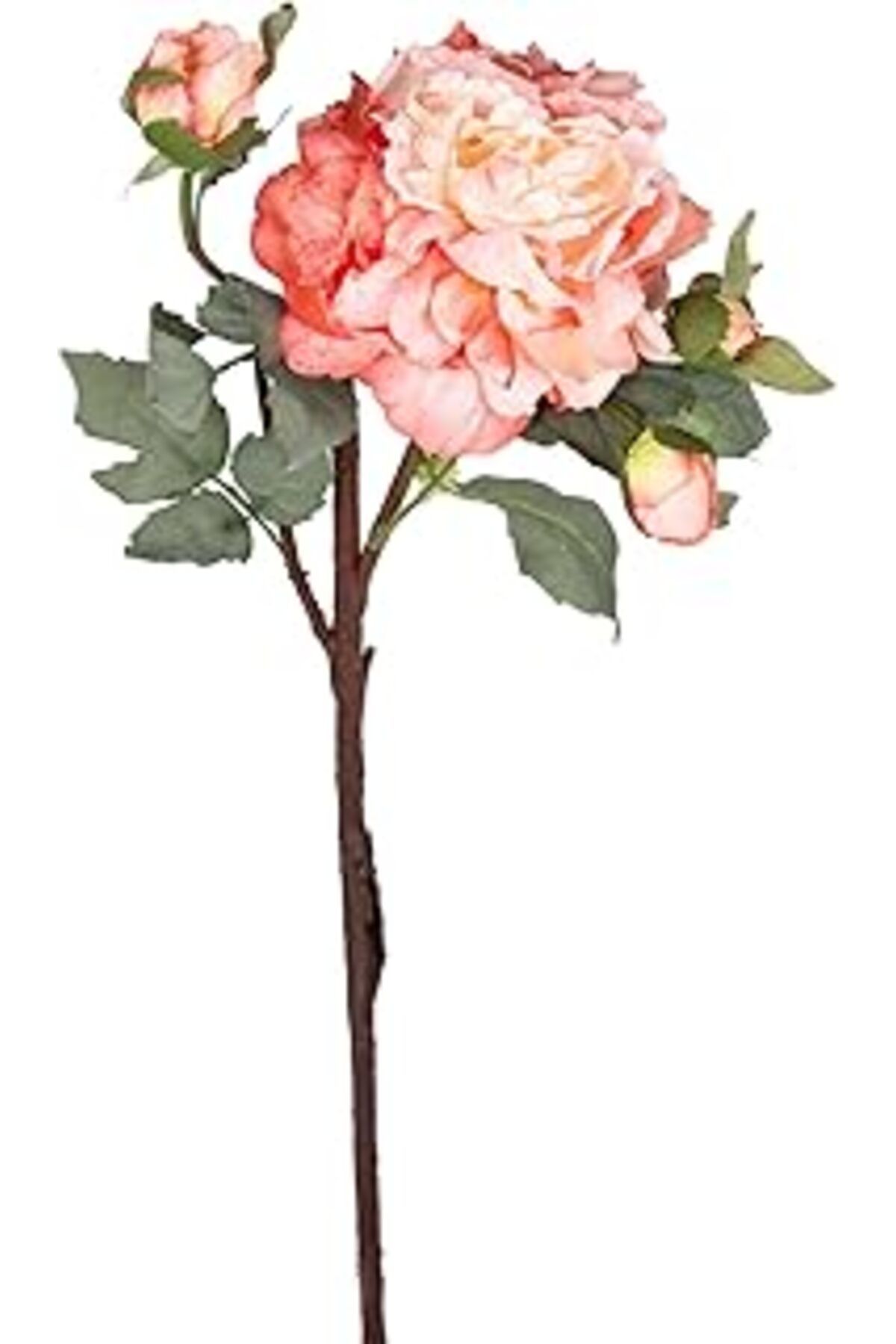 Mu Art Ahşap Herdekora Yapay Gül Kurumuş Efektli Nar Çiçeği 60 Cm.