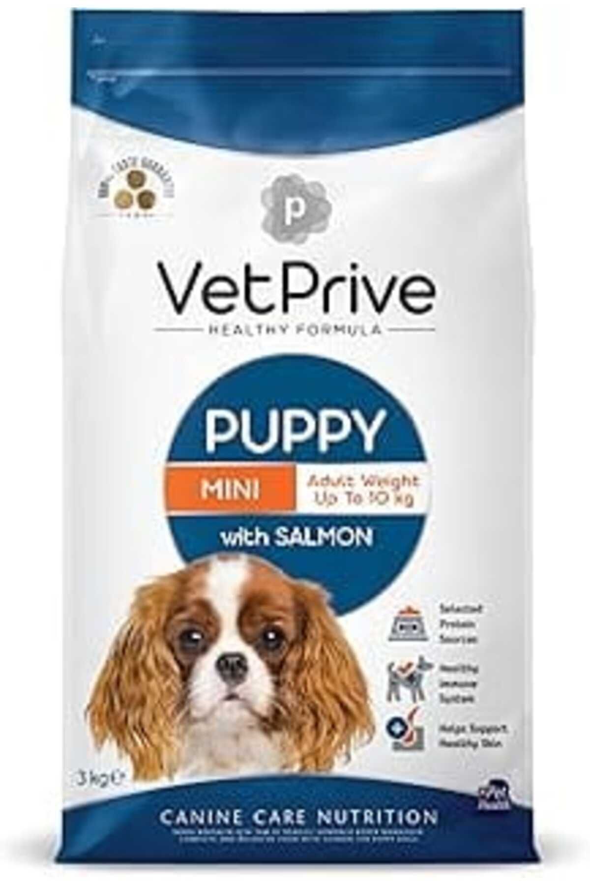 karadağsb Vetprive Dog Puppy Mini With Salmon 3 Kg