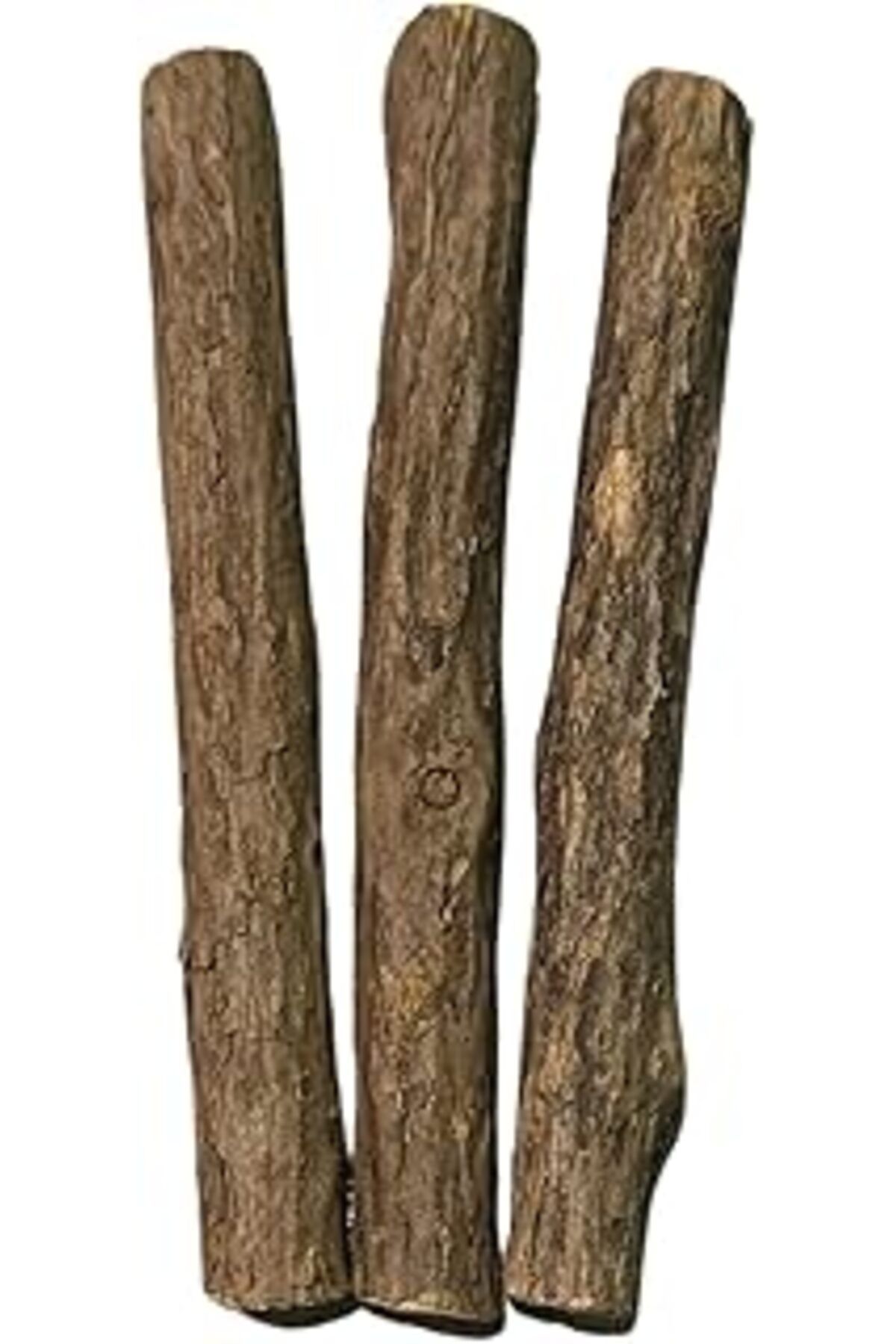 karadağsb Pawdaz Matatabi - Stick Diş Temizlemeye Ve Stres Gidermeye Yardımcı Doğal Oyuncak