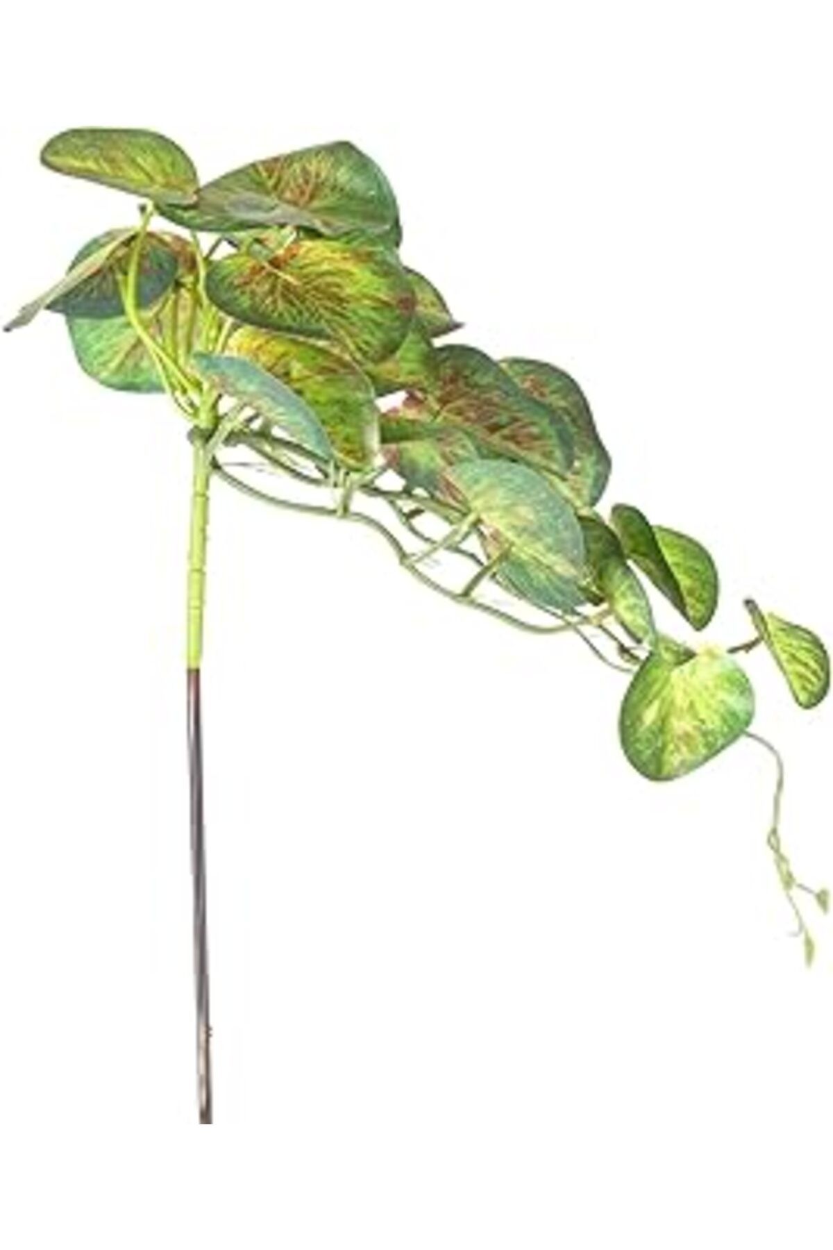 Mu Art Ahşap Herdekora Yapay Bitki Salon Sarmaşığı Kızıl-Yeşil 35 Cm.