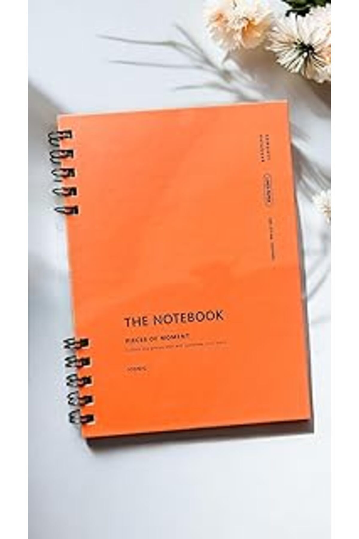 Mu Art Fark Tanıtım Spiralli 80 Yaprak Çizgili A5 Defter, Not Defteri, Okul Defteri, 4 Farklı Renk Seçeneğ