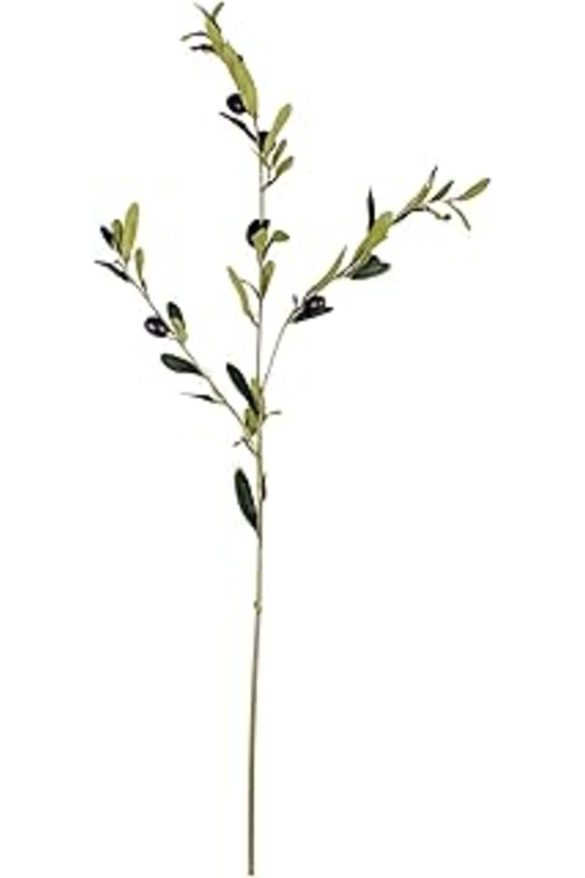DENİZBİLİŞİM Euro Flora Yapay Zeytin Dalı 83 Cm
