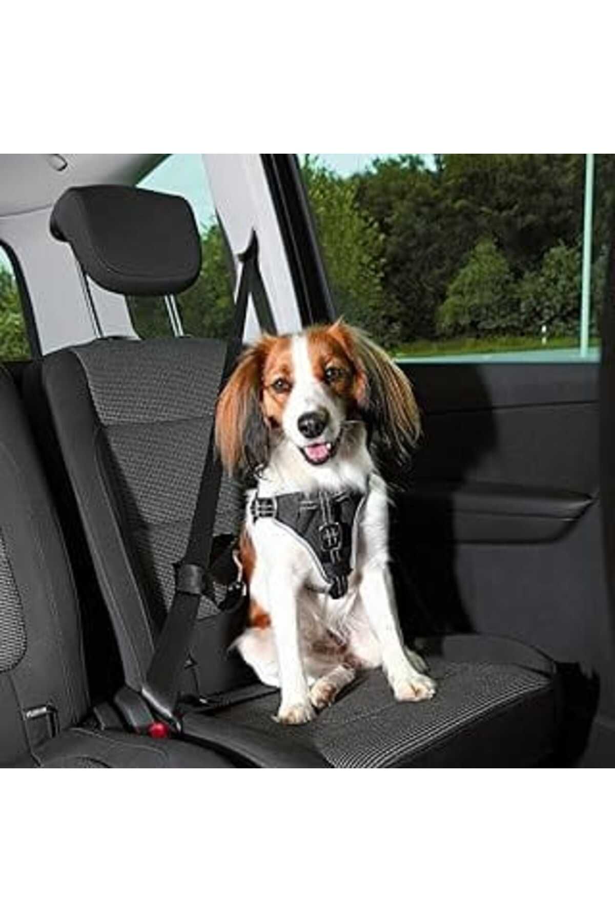 Mu Art Ahşap Trixie Köpek Emniyet Kemeri Ve Göğüs Tasması 40-55 Cm 17 Mm Siyah S-M