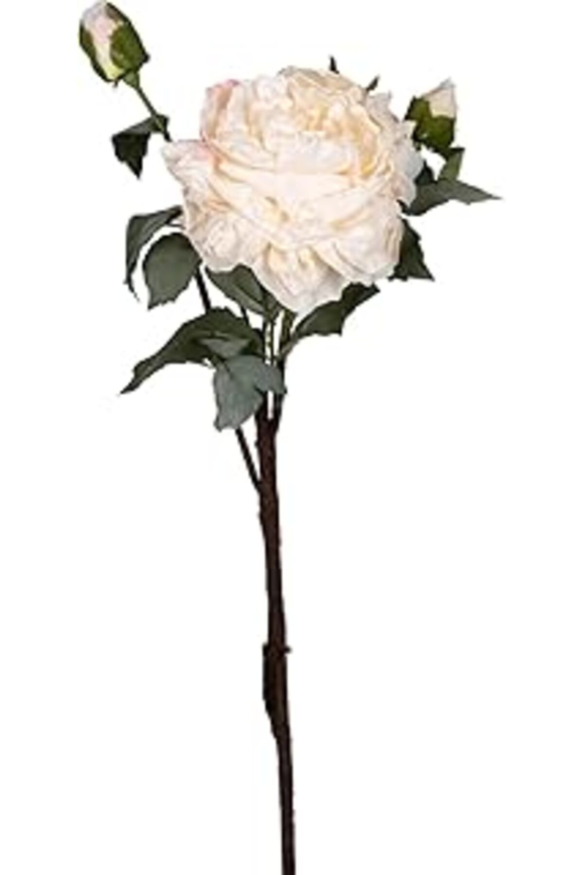 Mu Art Ahşap Yapay Gül Kurumuş Efektli Krem 60 Cm.