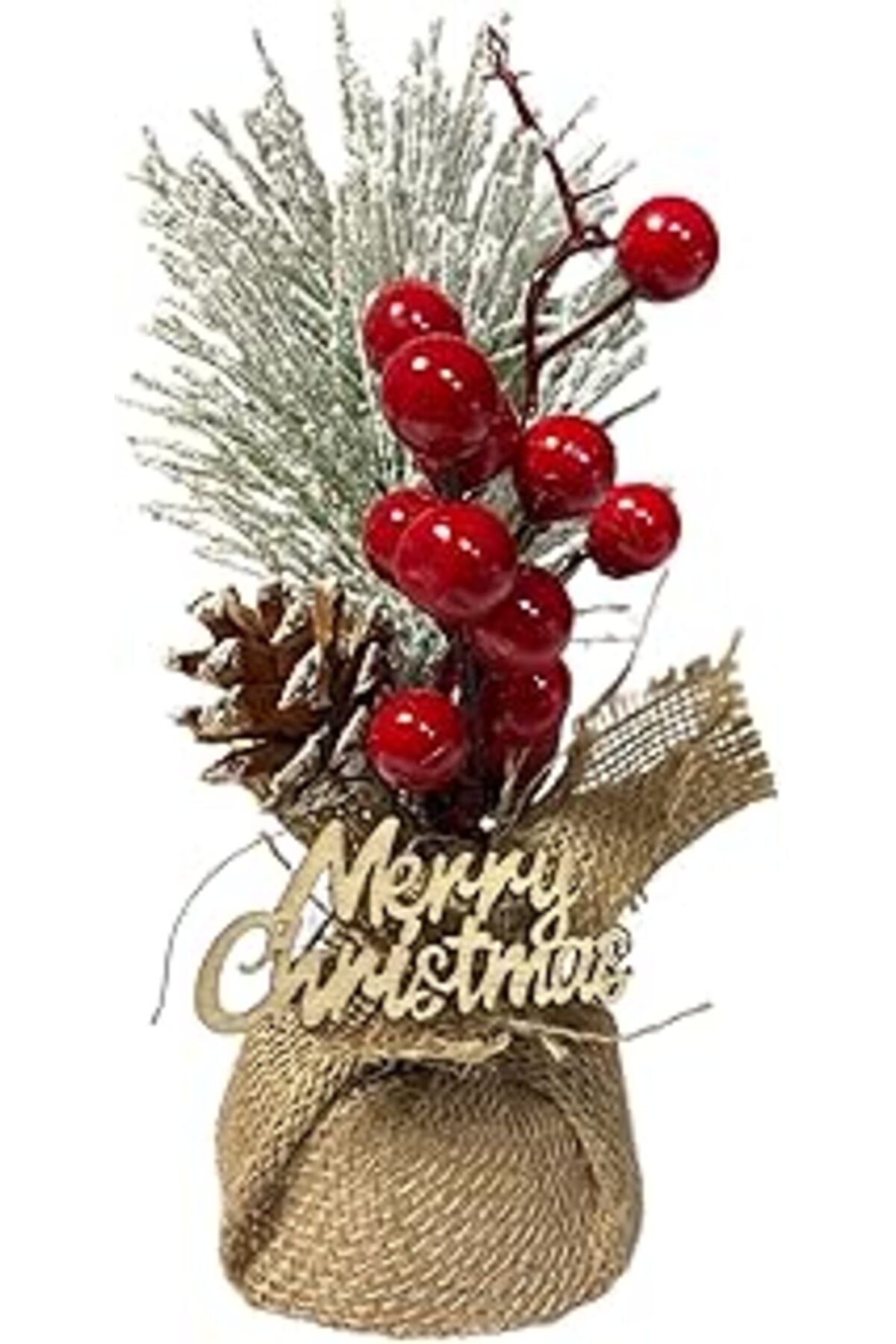 Roses Store Noel Dekoratif Kokina Çiçeği Aranjmanı, 20 Cm, Jüt Kumaşlı