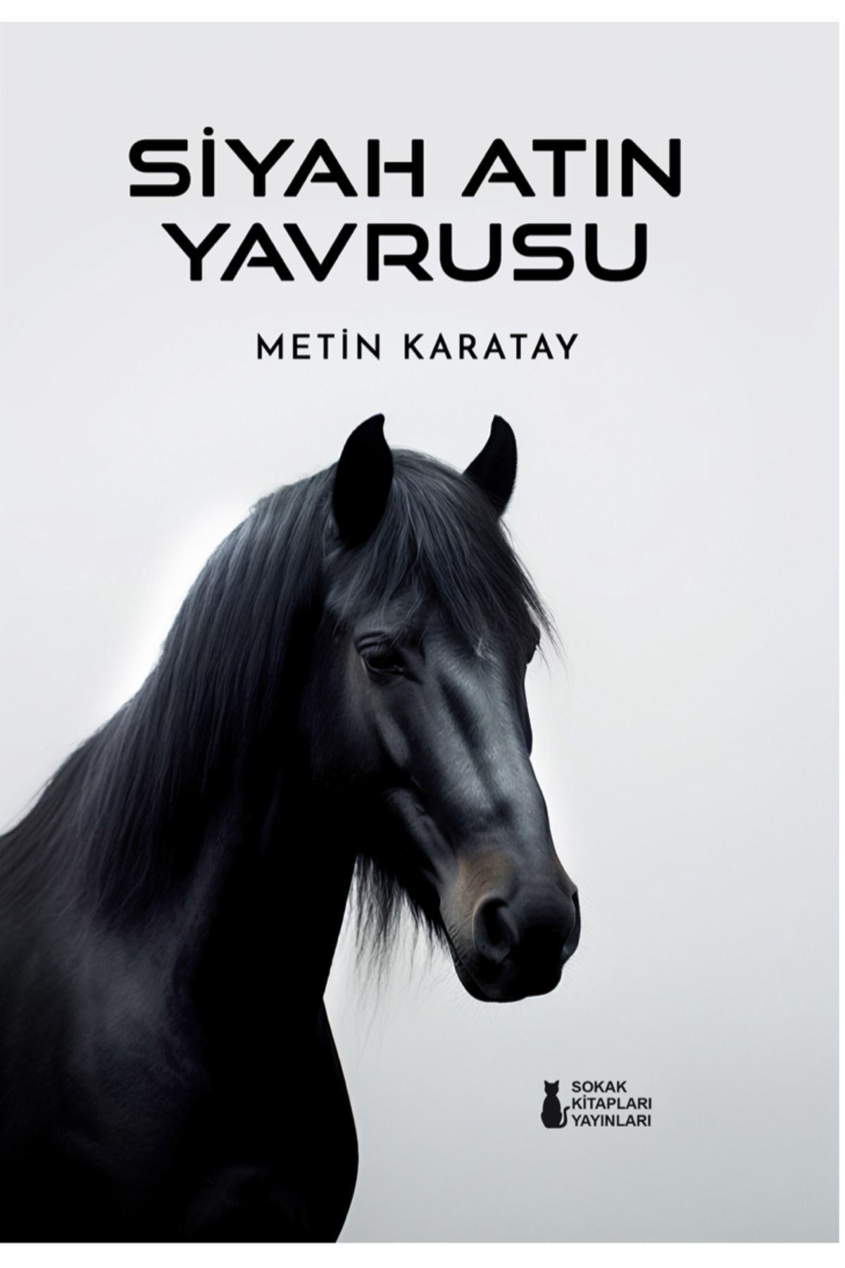 Sokak Kitapları Yayınları Siyah Atın Yavrusu - Metin Karatay
