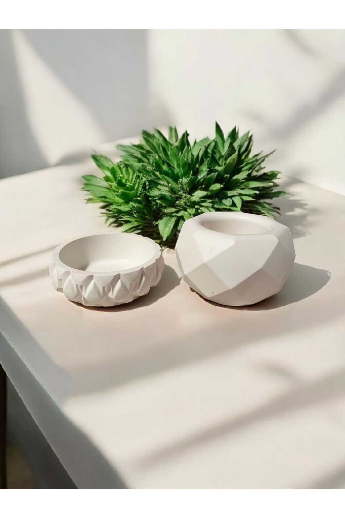 EM&MA DESİNG İKİLİ MİNİ HAM ALÇI DÖKÜM KAKTÜS VE SKULENT SAKSI SETİ HOME DEKOR