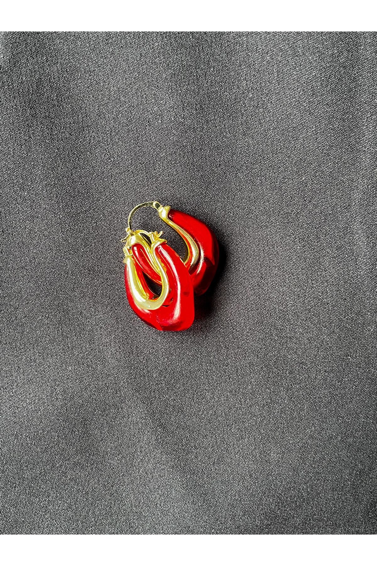 barry accessory KIRMIZI TAŞLI ŞIK ÇELİK KÜPE