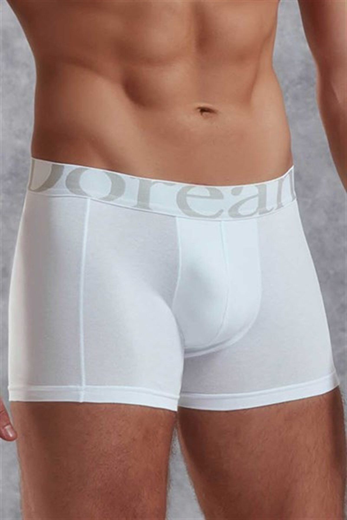 YNSGLOBAL Doreanse Erkek Modal Normal Paça Boxer 1777P