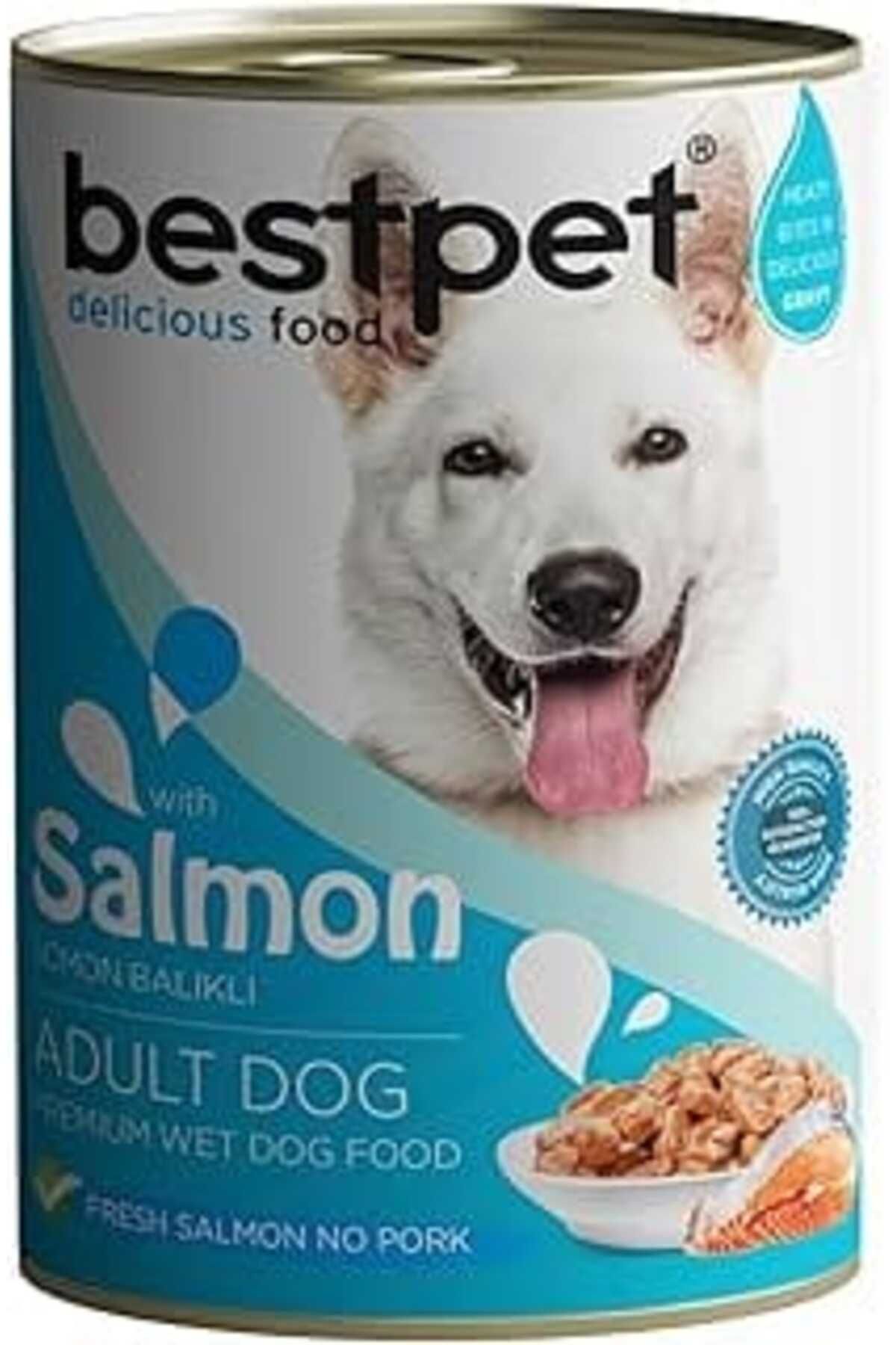 karadağsb Bestpet Yetişkin Köpekler İçin, Taze Somon Parça Etli Ve Soslu Yaş Mama, 400 G X 12 Adet
