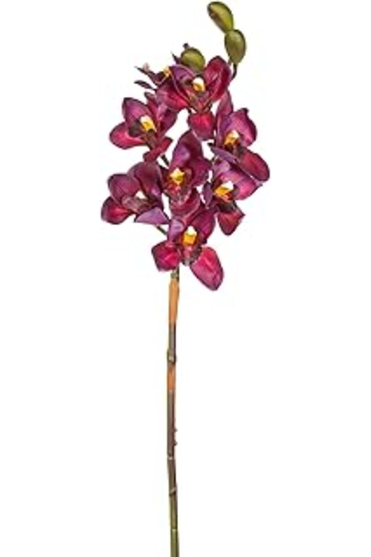 DENİZBİLİŞİM Herdekora Yapay Orkide Gerçek Dokulu Bordo 75 Cm.