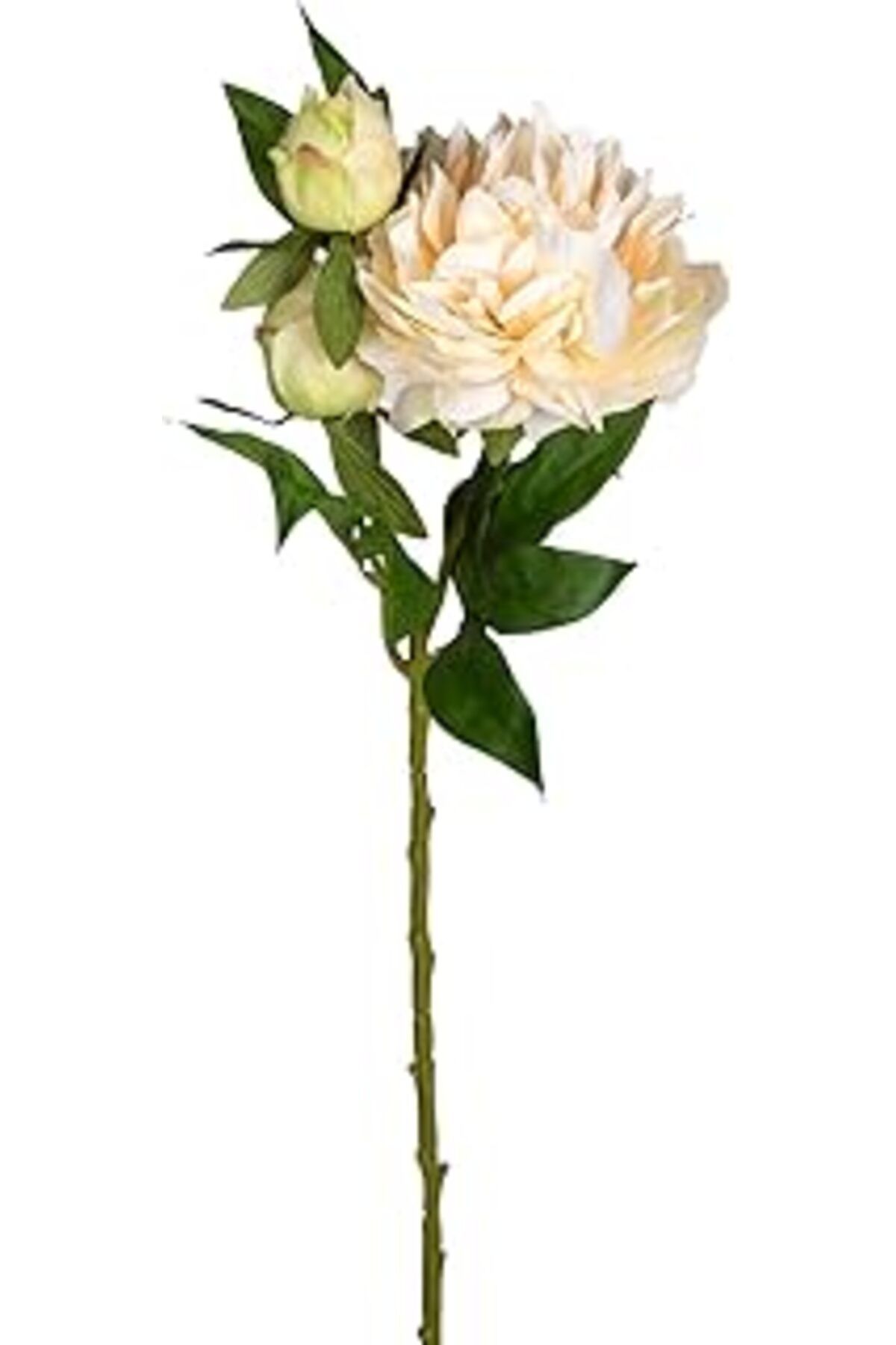 Pazarcan Yapay Çiçek Şakayık Krem 65 Cm.