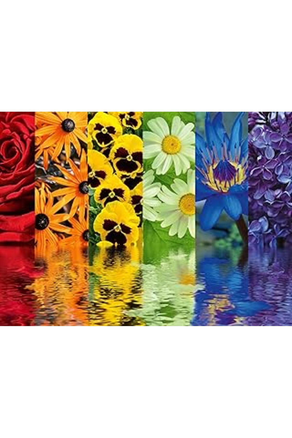 karadağsb Ravensburger 164462 500 Parça Puzzle Çiçek Yansıma, Çok Renkli