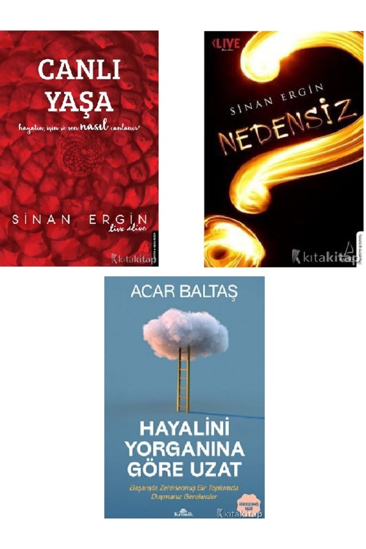 Destek Yayınları Canlı Yaşa - Nedensiz - Hayalini Yorganına Göre Uzat - Sinan Ergin 3 KİTAP ( ÜCRETSİZ KARGO )