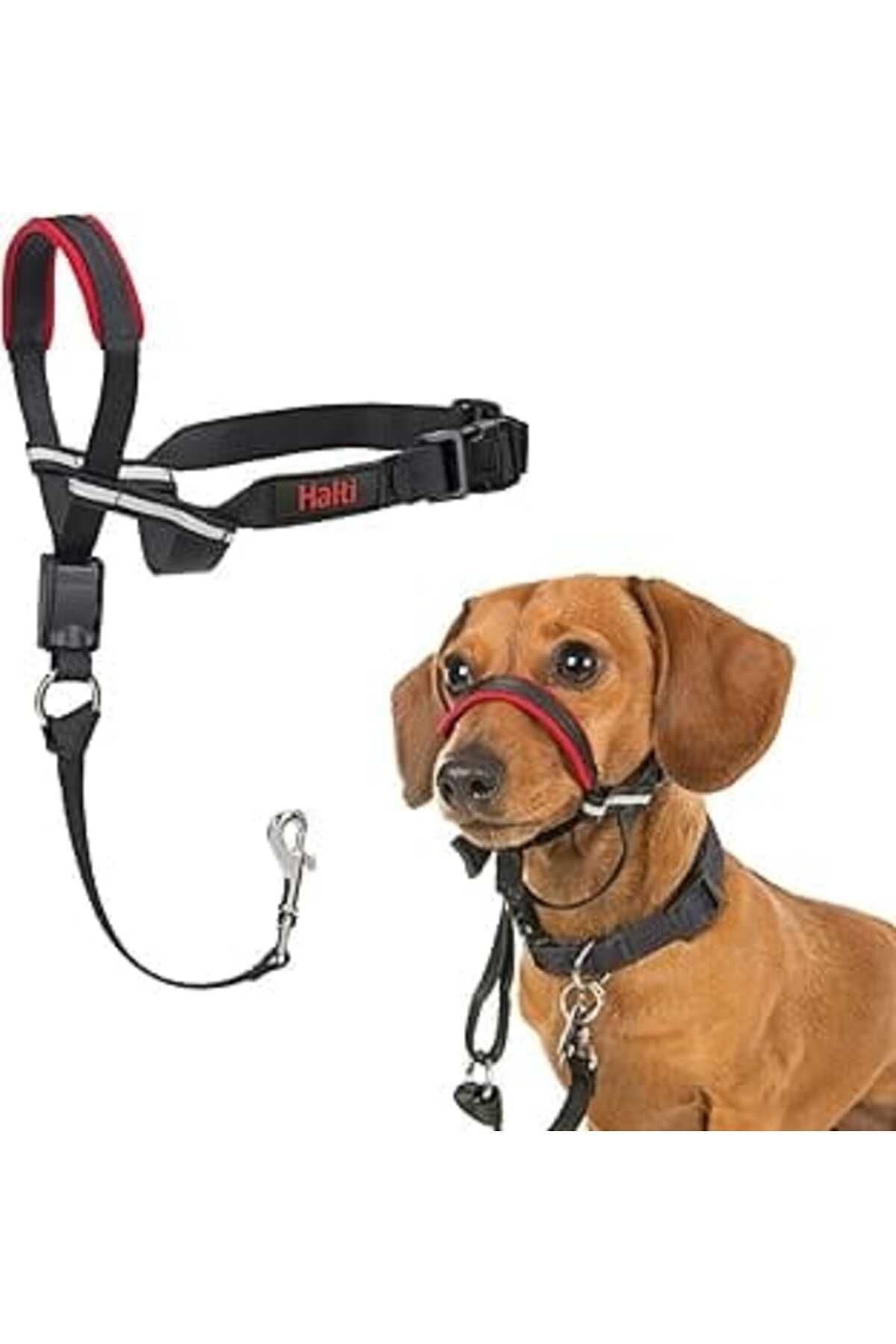 NZM TİCARET Company Of Animals Halti Optifit Baş Tasması - Dolgulu Burun Bandı, Ayarlanabilir Ve Yansıtıcı, Küç