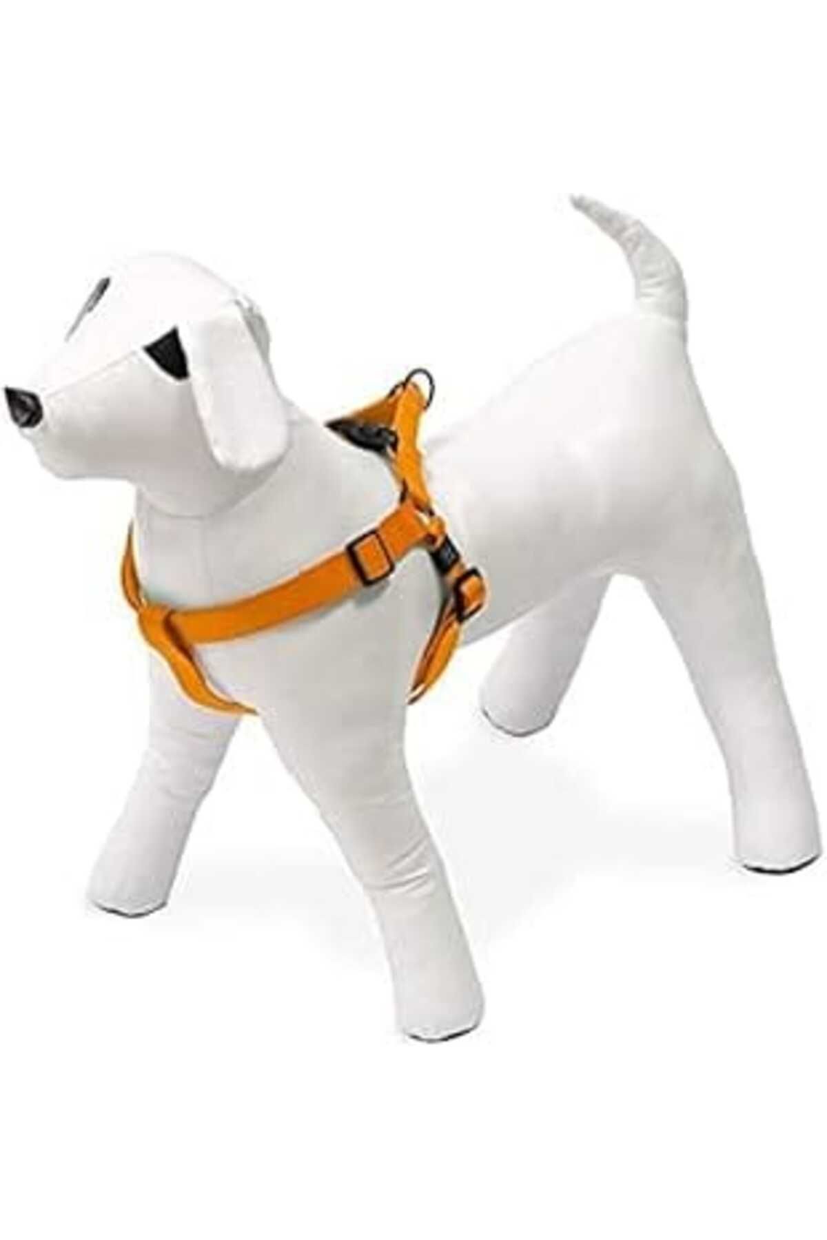 robotrend Karlie Kilitli Göğüs Tasma, Köpek, S, 25-45 Cm, Turuncu