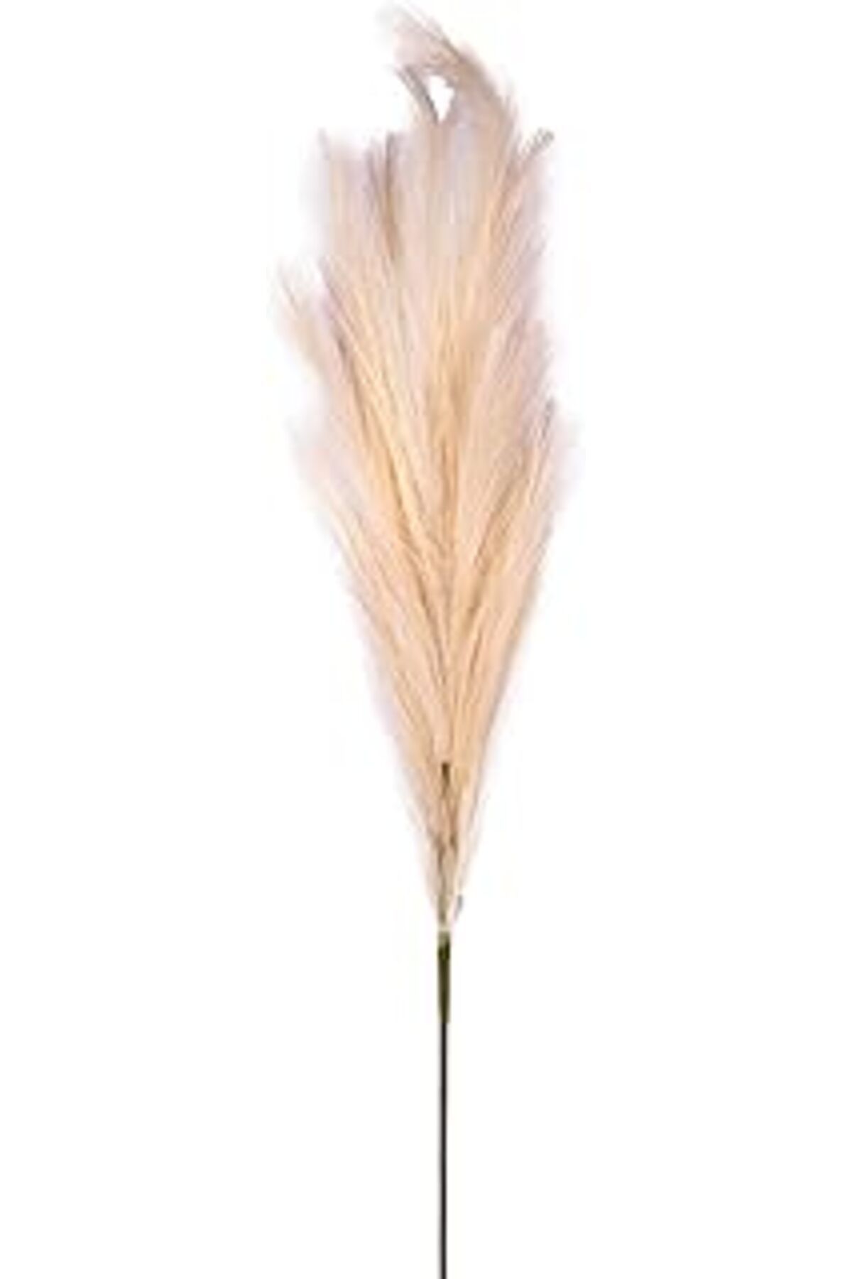 Mu Art Ahşap Herdekora Yapay Bitki Pampas Dal Krem 108 Cm.