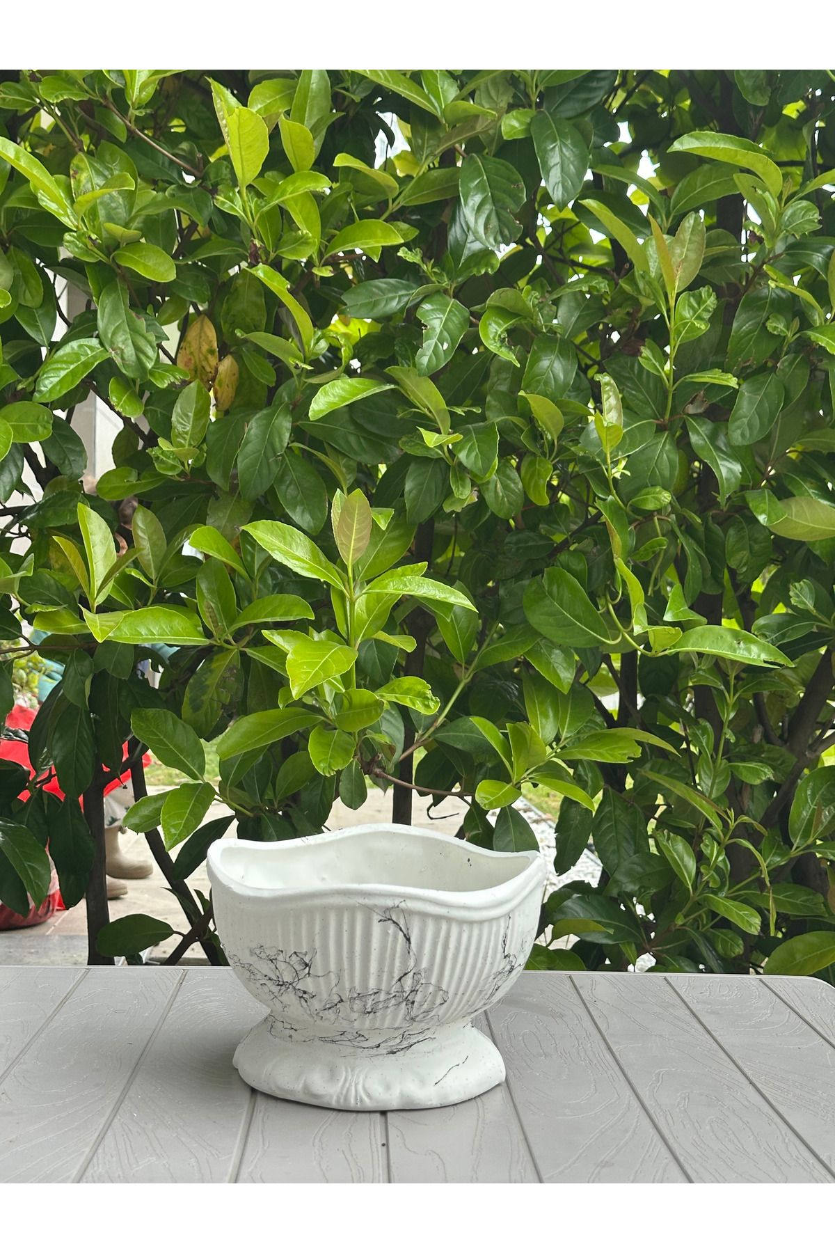 LAVİTTA mermer desenli bitki seramik saksı 14 cm yükseklik 20 cm çap