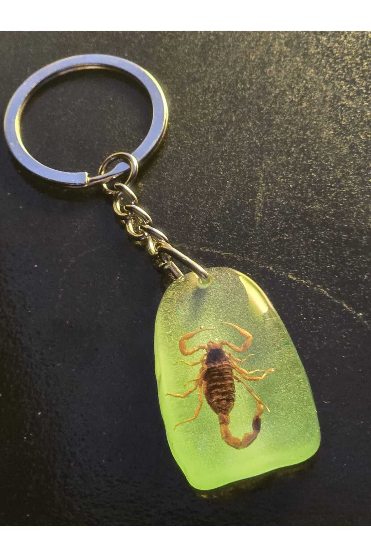AMBER CRAFTS Orijinal Amber Craft Marka Gerçek Akrep Anahtarlık