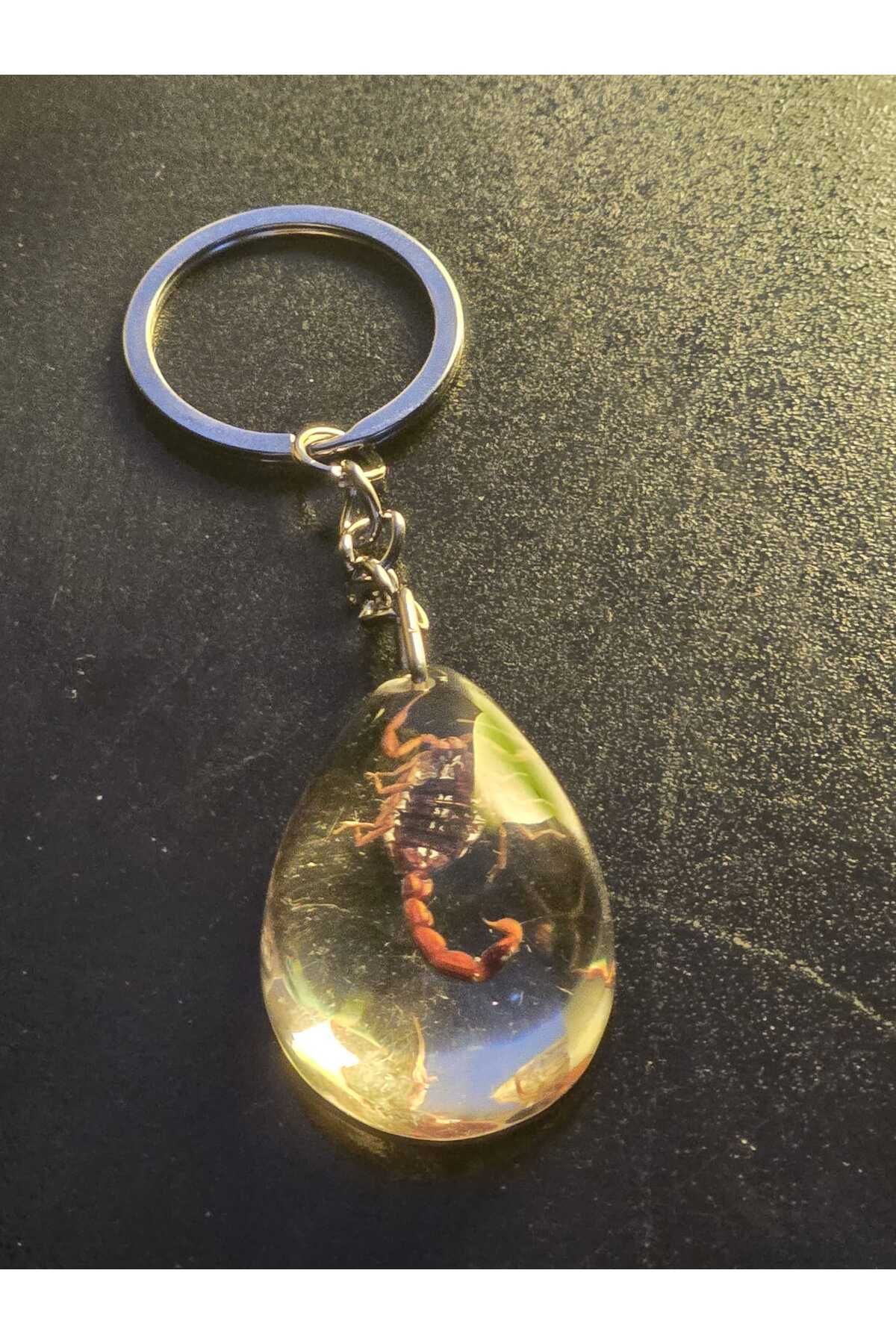 AMBER CRAFTS Orijinal Amber Craft Gerçek Akrep Anahtarlık