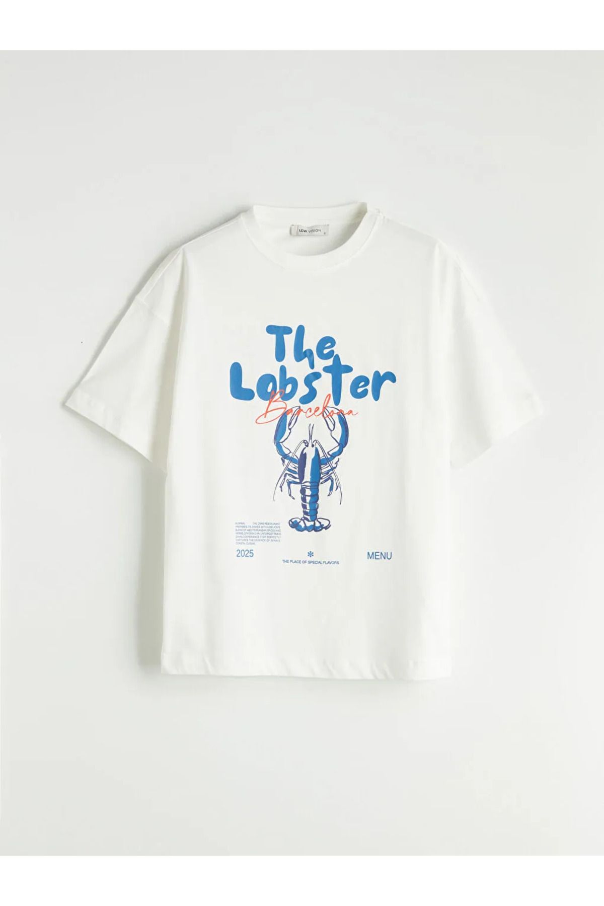 LC Waikiki LCW Vision Ekru Bisiklet Yaka Baskılı Oversize Kadın Tişört