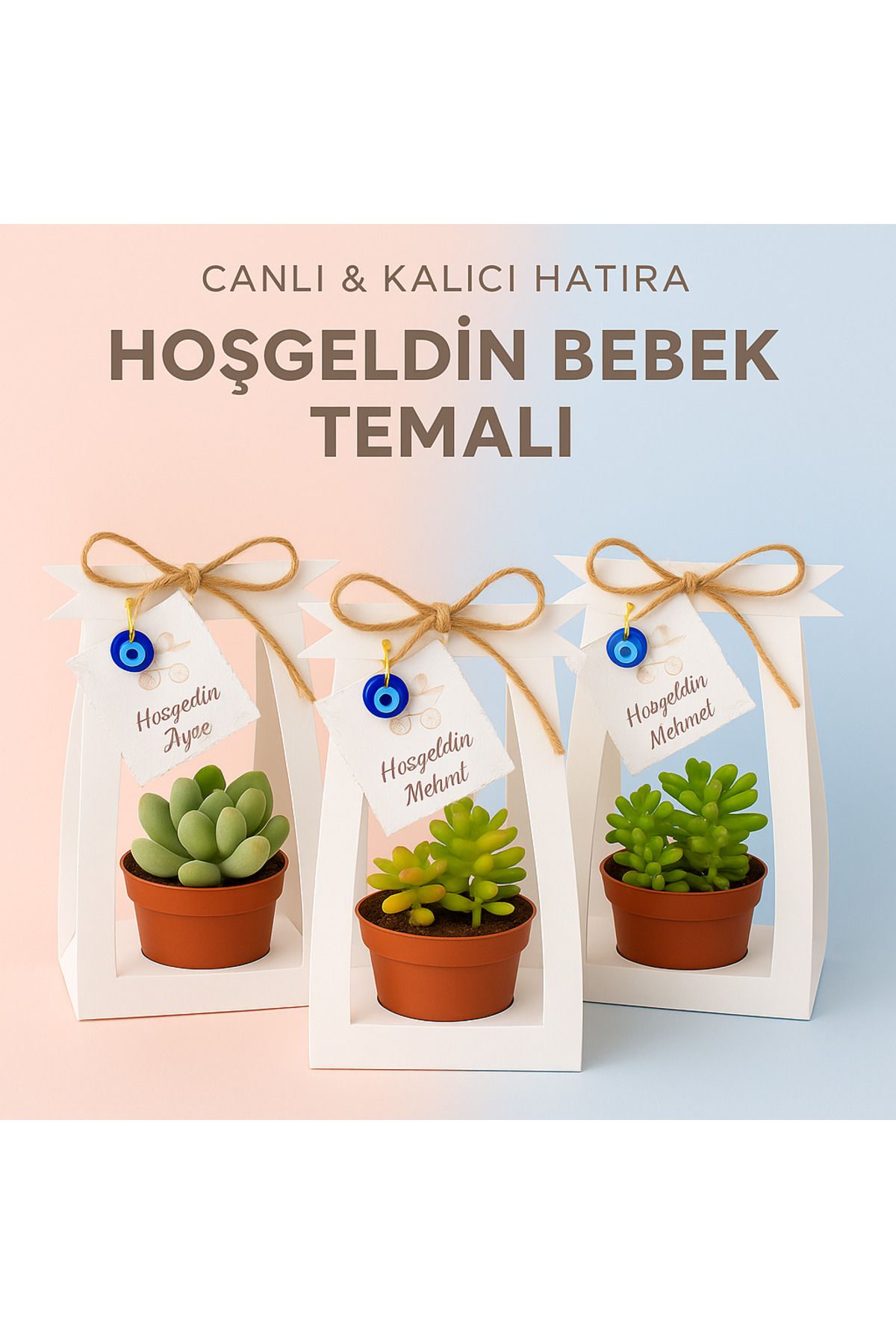 bebiya baby kids 25 Adet Hoşgeldin Bebek Sukulent Hediyelik – Nazarlıklı, Etiketli, El Yapımı Sunum, Erkek/Kız Bebek