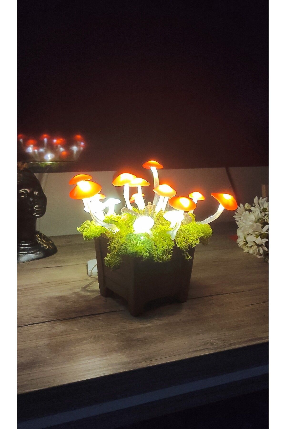 Hobby Dizayn El Yapımı Mantar ve Yosunlardan Oluşan Gece Lambası