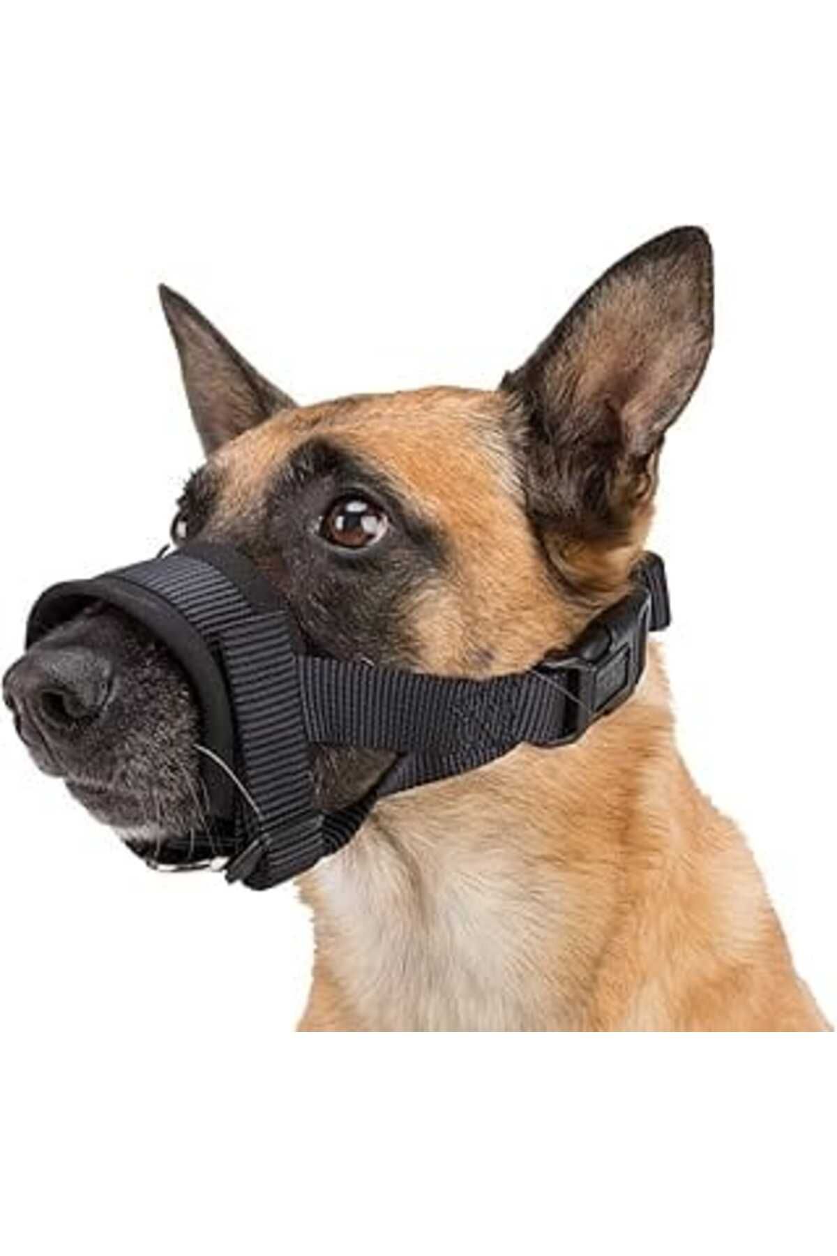 NZM TİCARET Trixie Köpek Ağızlık, Xxl, Danua