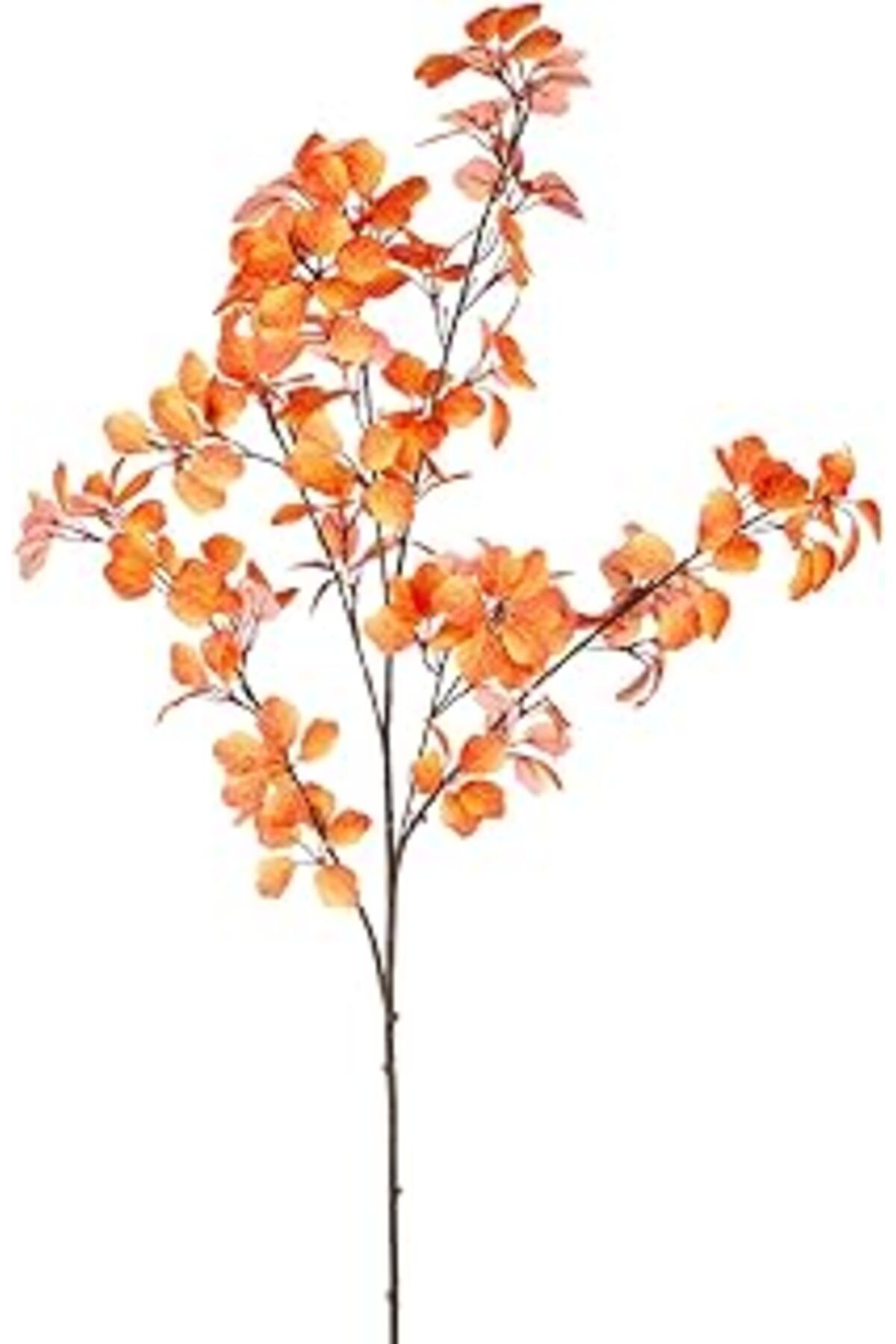 Mu Art Ahşap Herdekora Yapay Okaliptüs Dalı Tek Dal Turuncu 103 Cm.