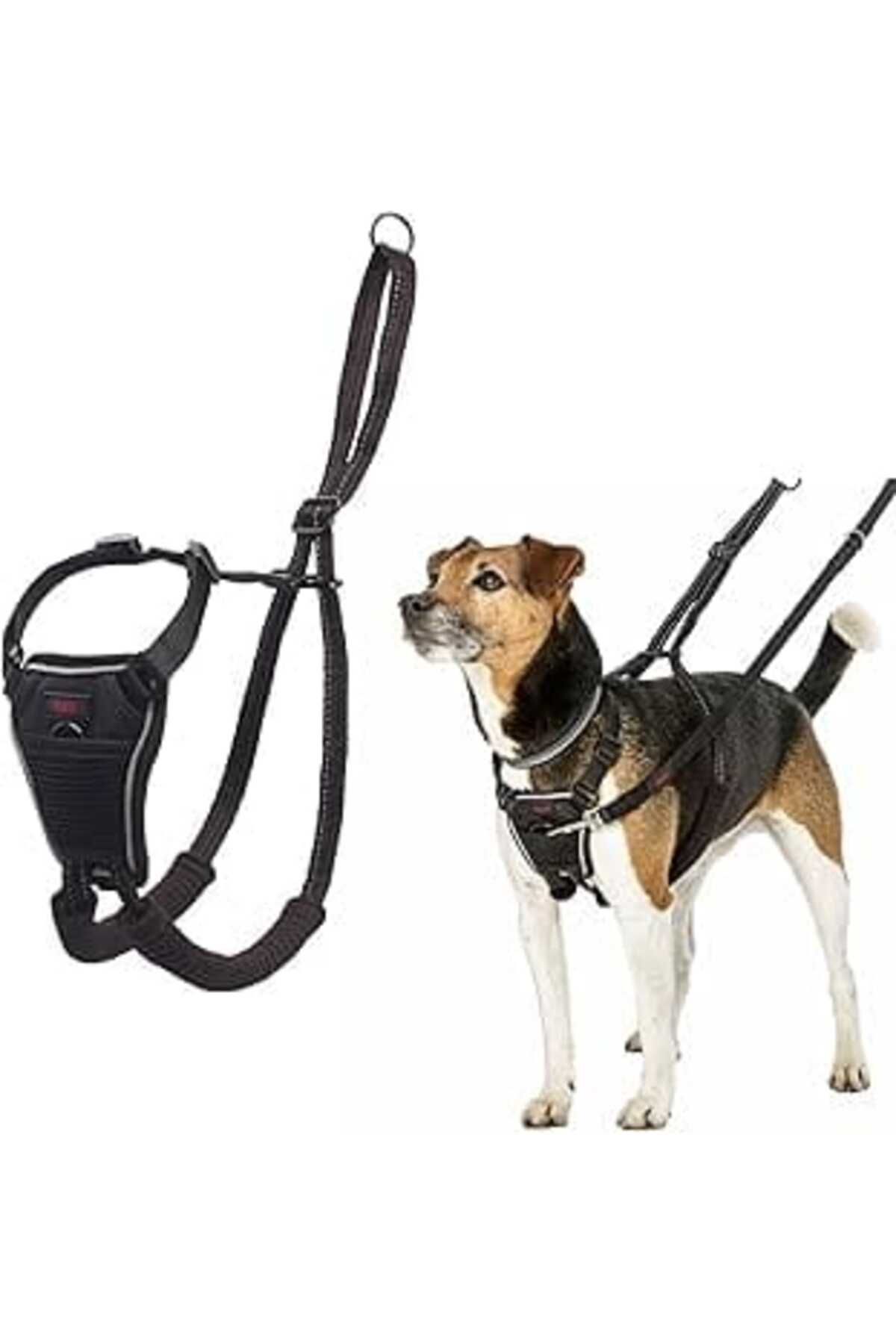 NZM TİCARET Company Of Animals Halti Köpek Çekme Önleyici Göğüs Tasması, Küçük Boy