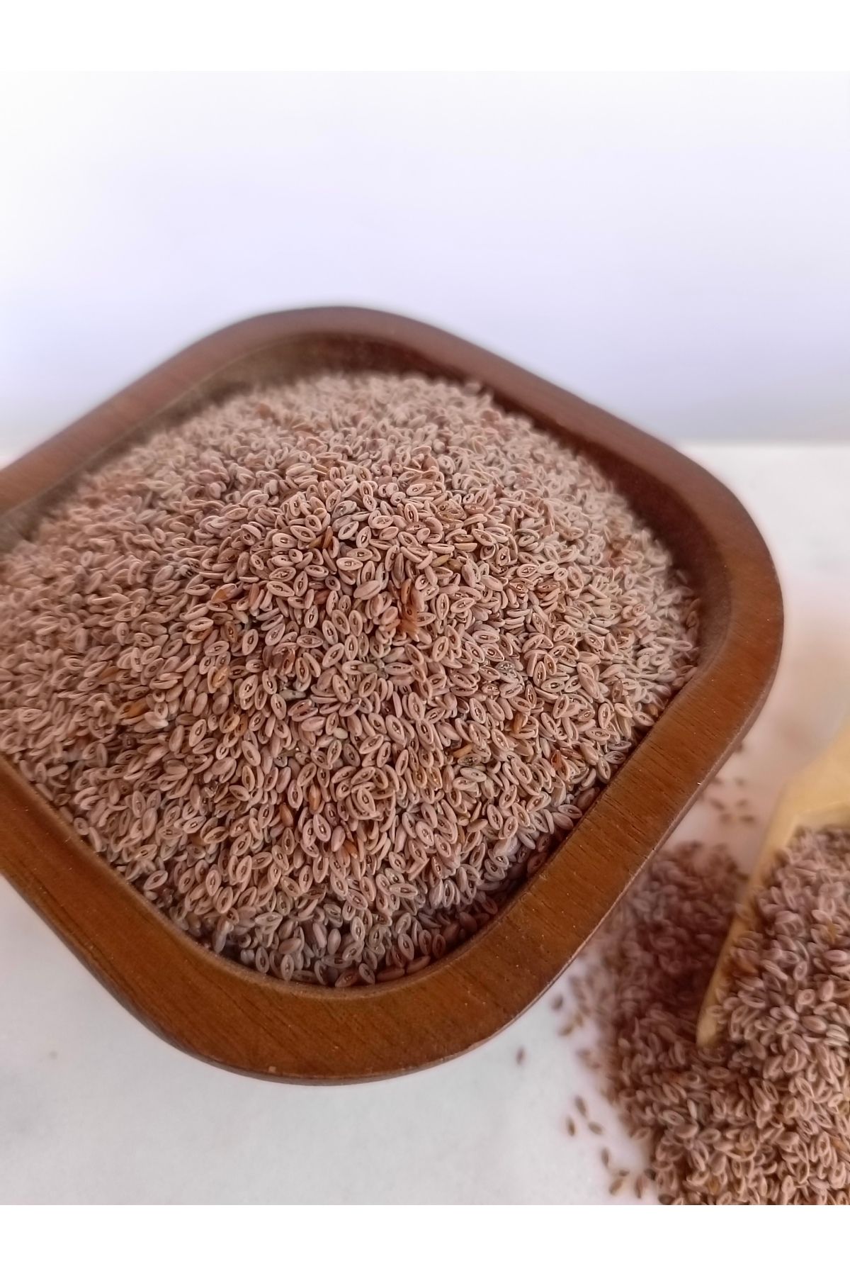 Merve Baharat Karnıyarık Otu Tohumu 100 Gr