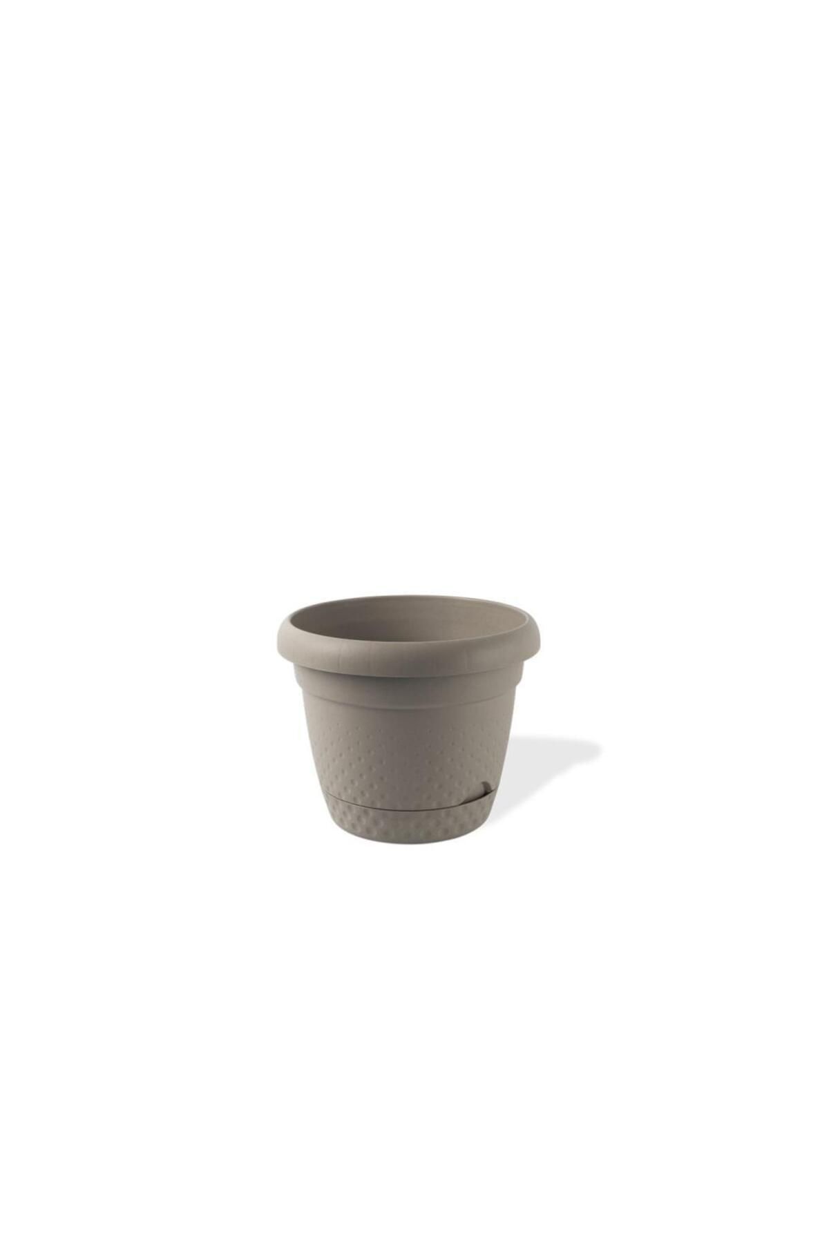 Omnipazar KRS-341 Dekoratif İnci Bitki Çiçek Saksı Takımı 1.1 Litre No 1