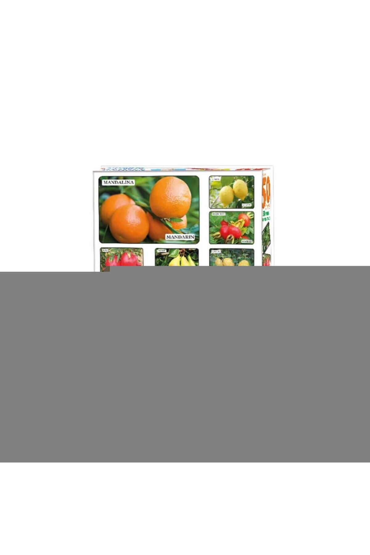 Shop58 LC7178 BABY 50 MEYVE SEBZE