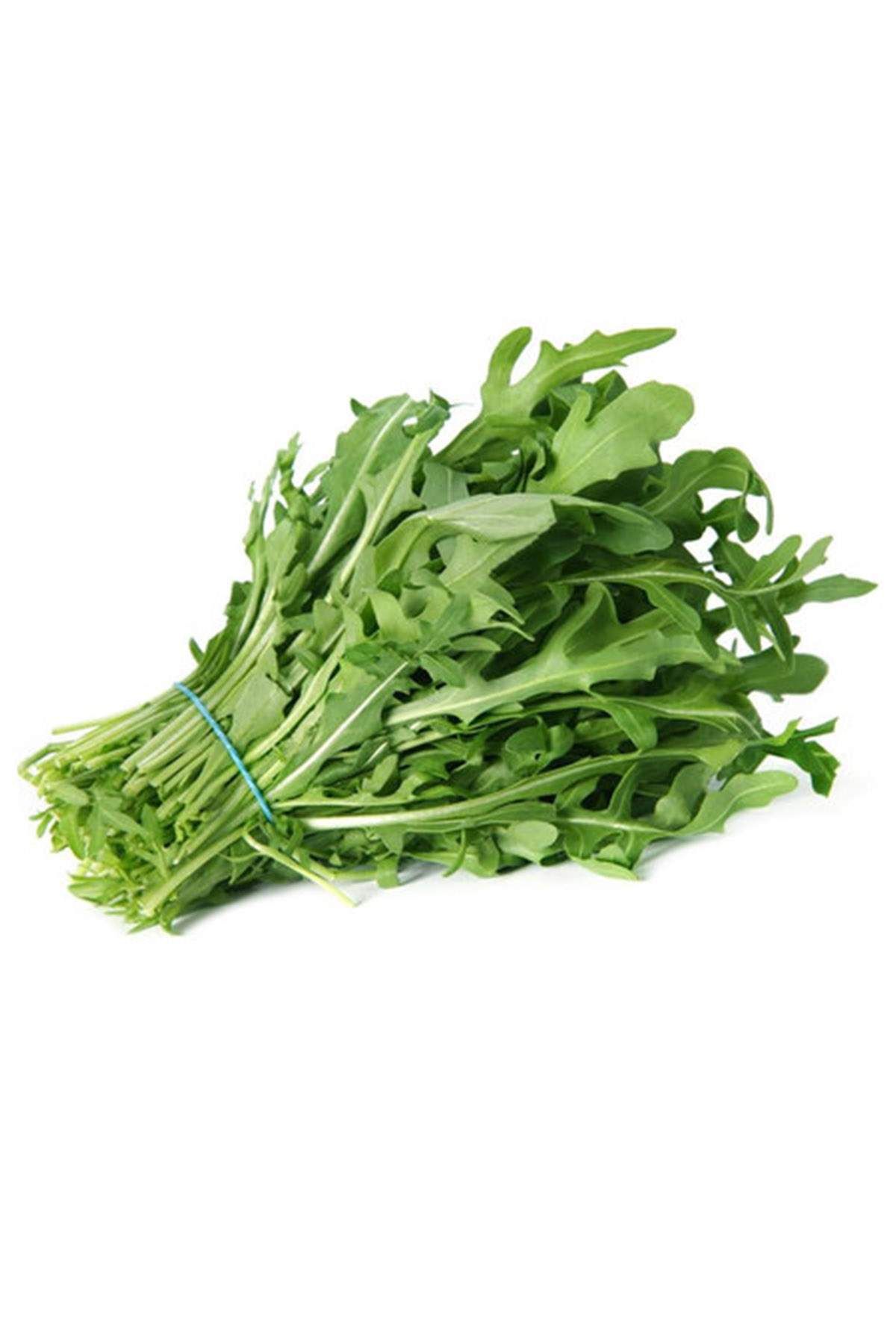 MBB ETİCARET Roka Tohumu 10 Gr