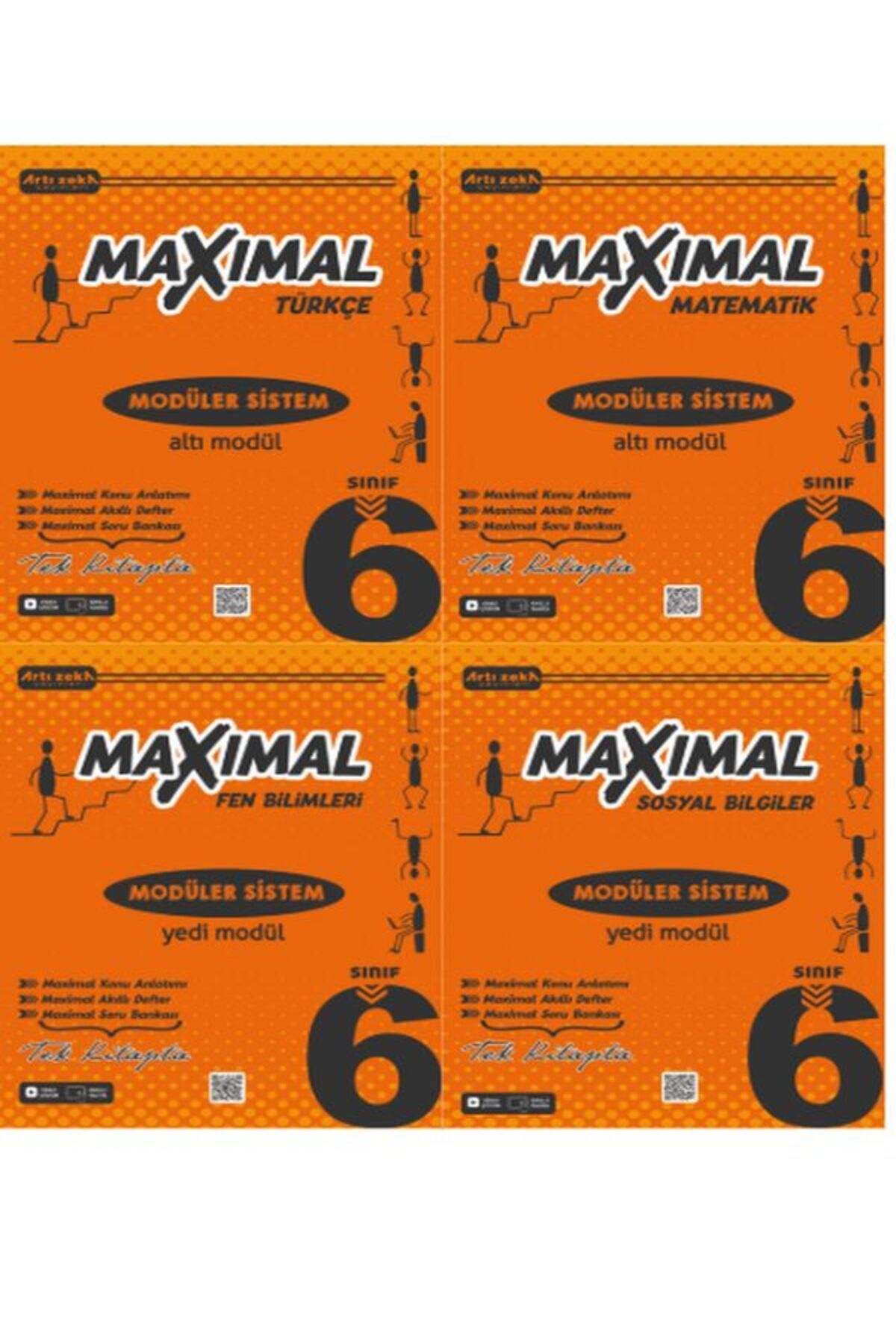 Artı Zeka Yayınları 6 Sınıf Maximal Modüler SET