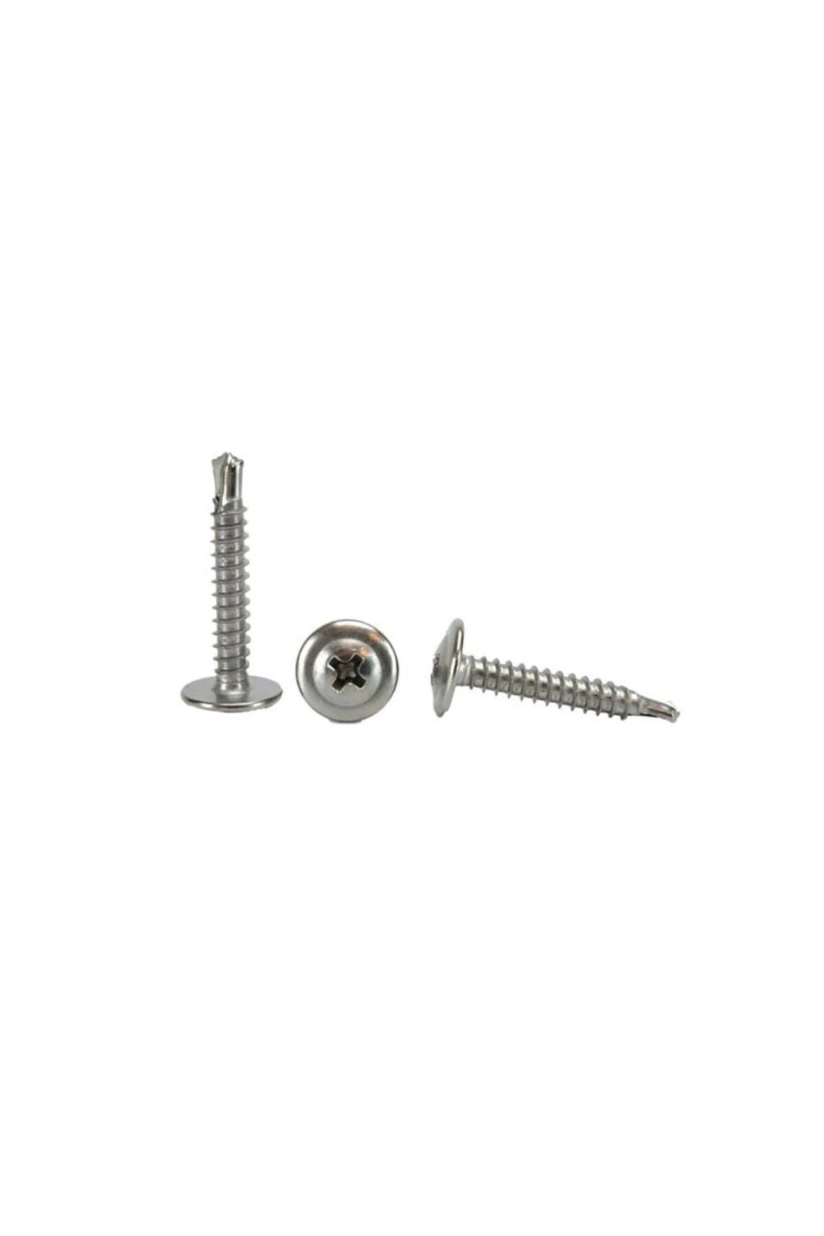 DEMİR CİVATA PUL BAŞLI (SDİNG) RYSB AKILLI VİDA 3,9X25 MM 1 Adet