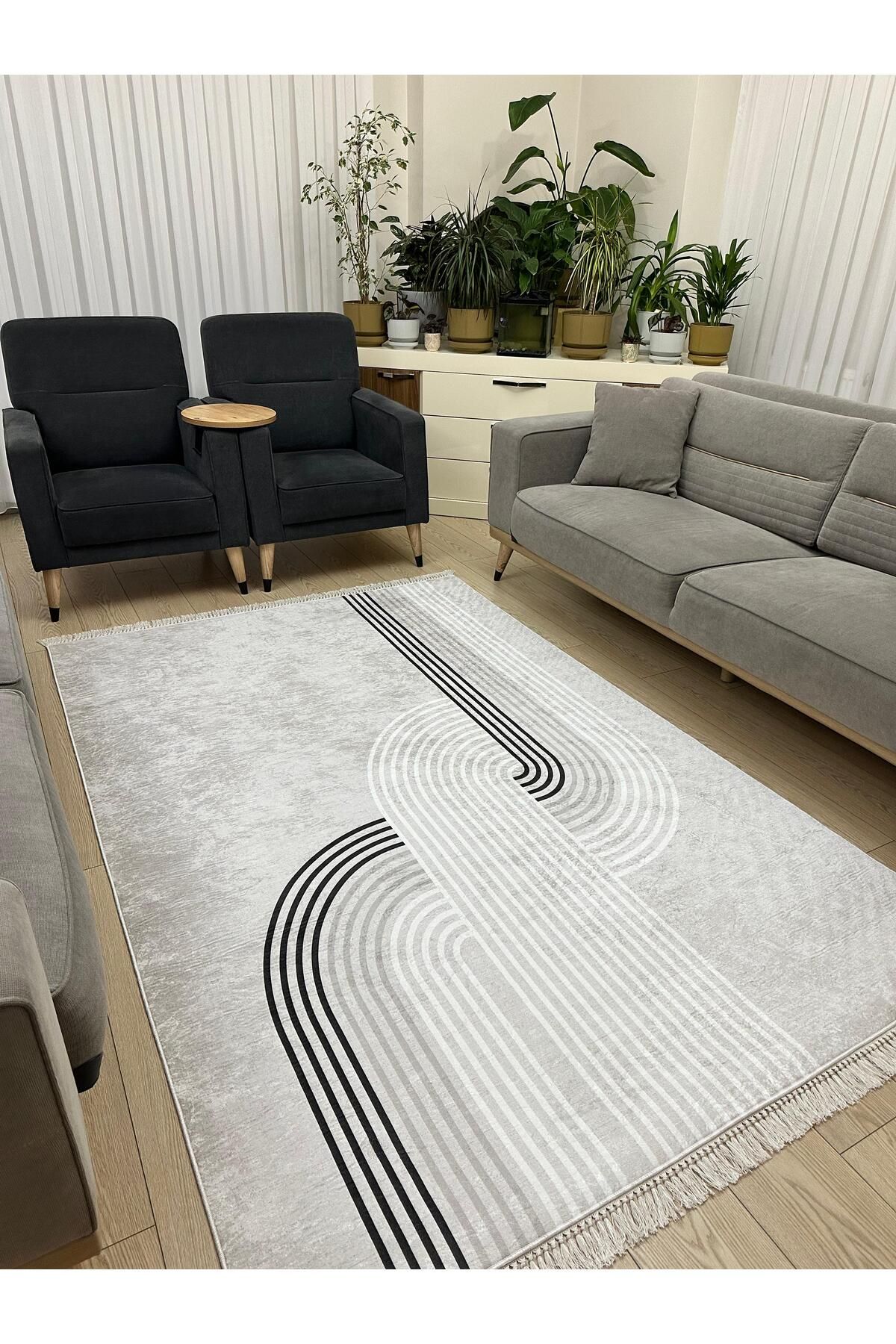 MODKLAS Kaymaz Taban Yıkanabilir Dijital Baskı Dekoratif Halı - 4m²=160x230 cm, 6m²=200x300 cm