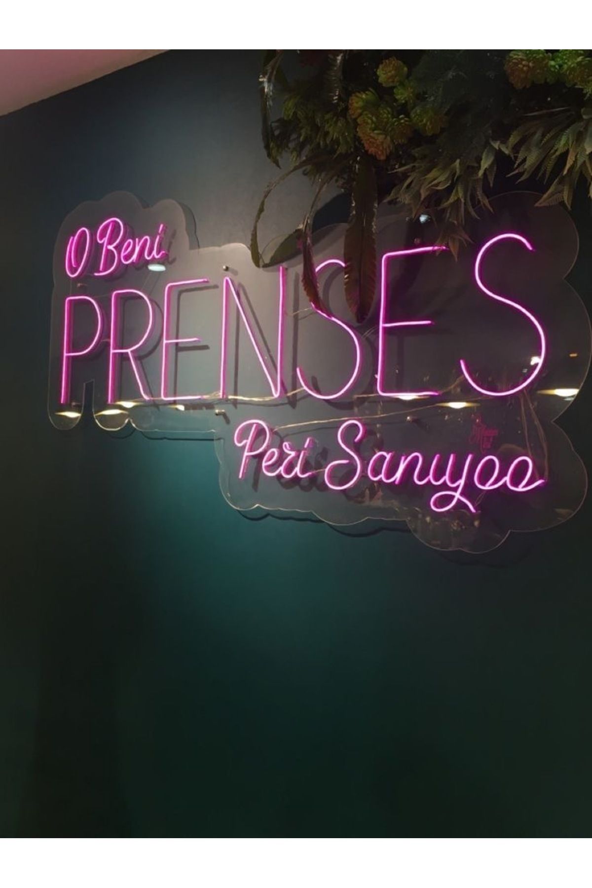 LUCENTRA NEON O beni prenses peri sanıyor Neon Led