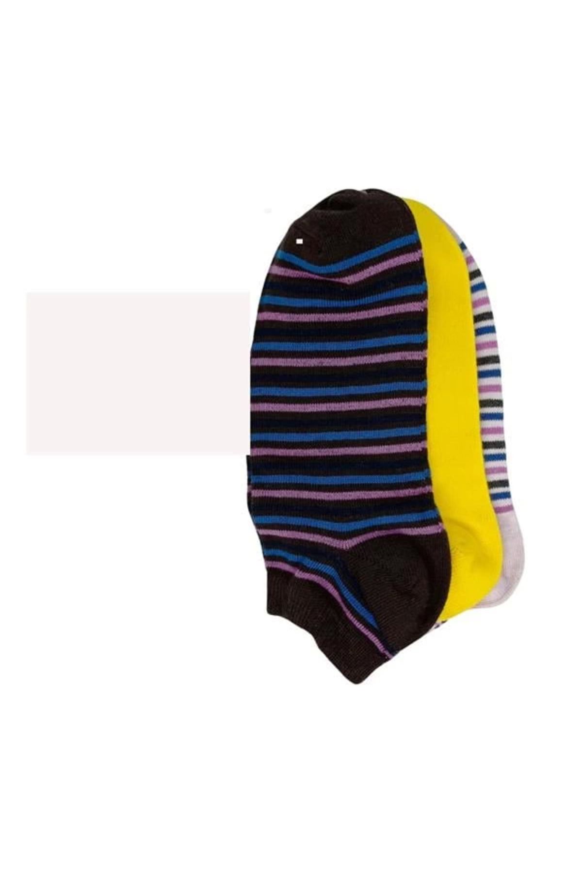 Shop58 Srfn Kadın Patik Çorap 3 Lü Çizgili Desen