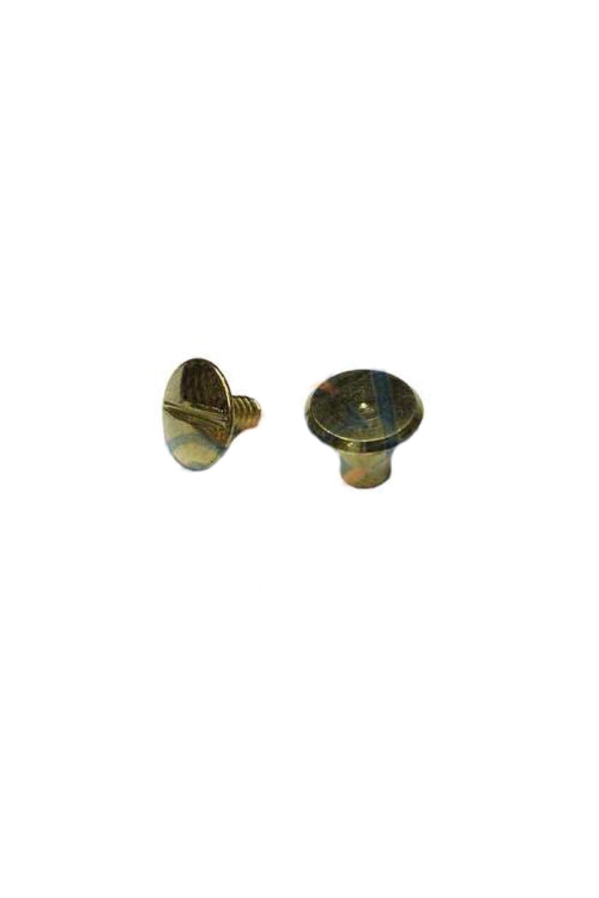 TimeStart Cilt Menü, Katalog, Kartela Vidası, 6 mm - Sarı, 1 Adet