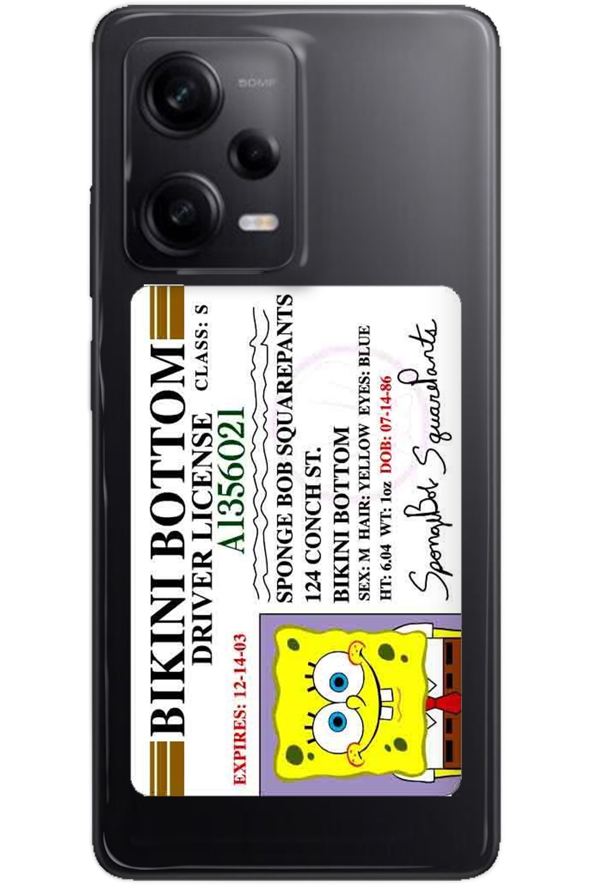 WANNA PROTECT Xiaomi Redmi Note 12 Pro 4G Şeffaf Driver Desenli Silikon Telefon Kılıfı
